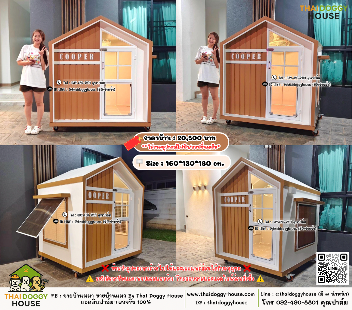 บ้านหมา บ้านแมว 𝐓𝐡𝐚𝐢 𝐝𝐨𝐠𝐠𝐲 𝐡𝐨𝐮𝐬𝗲