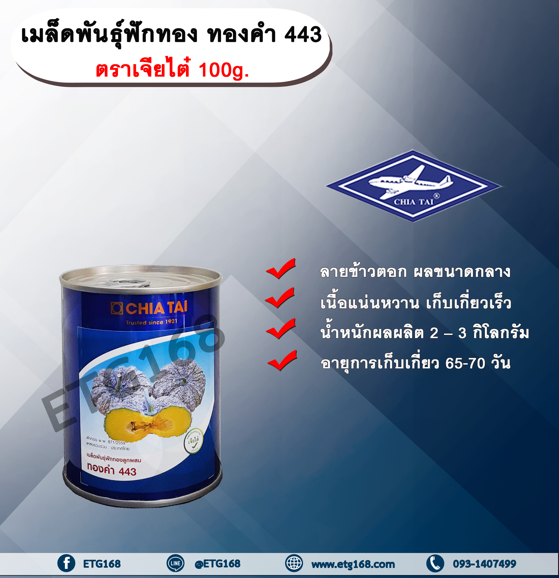 เมล็ดพันธุ์ฟักทอง ทองคำ 443 ตราเจียไต๋ 100g. เมล็ดพันธุ์ เมล็ดพันธุ์ผัก เมล็ดพันธุ์พืช เมล็ดพันธุ์ฟักทอง ลายข้าวตอก ผลขนาดกลาง เนื้อแน่นหวาน เก็บเกี่ยวเร็ว