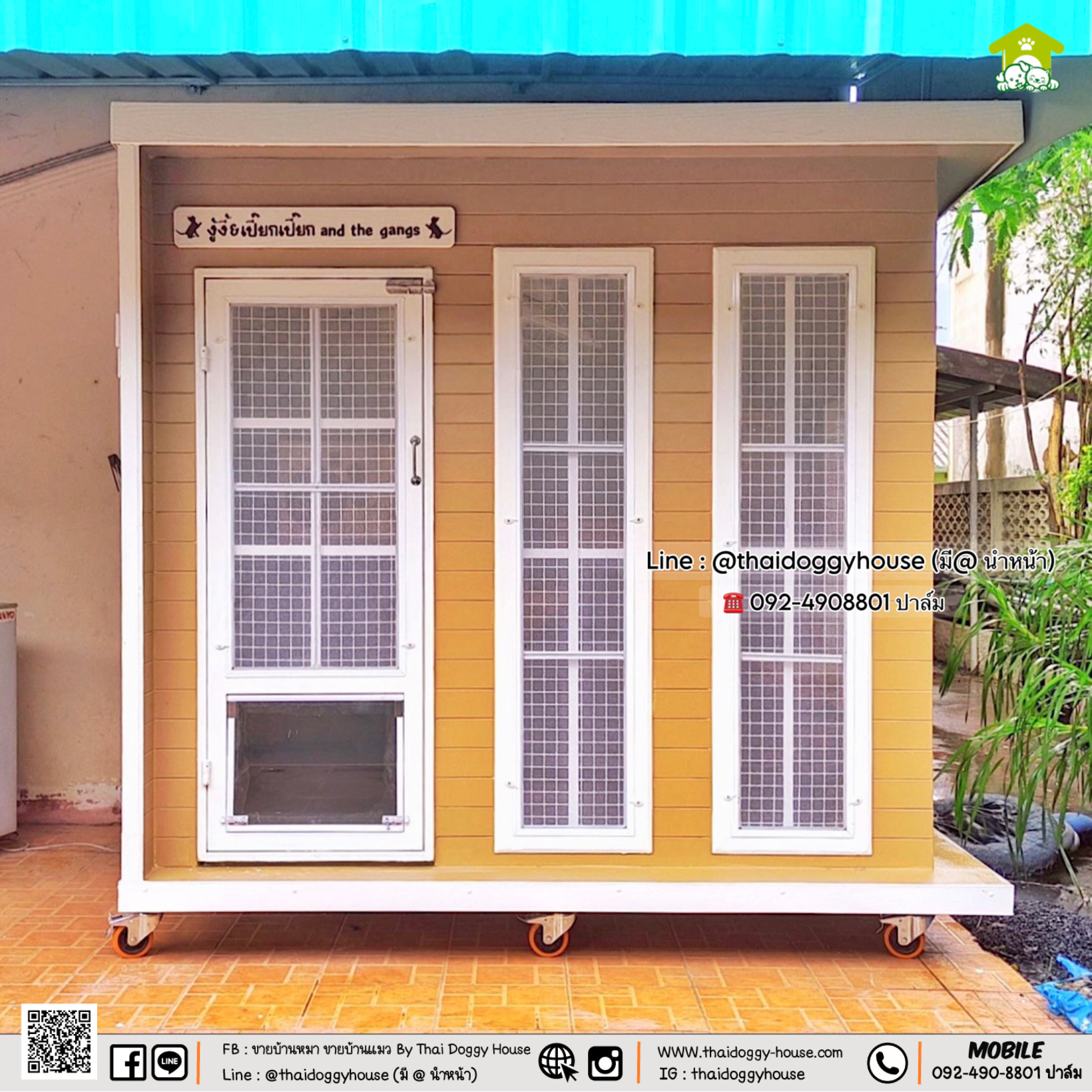 🏠🌤️บ้านหมา บ้านแมว 𝐓𝐡𝐚𝐢 𝐝𝐨𝐠𝐠𝐲 𝐡𝐨𝐮𝐬𝐞 🐈🦮🐾