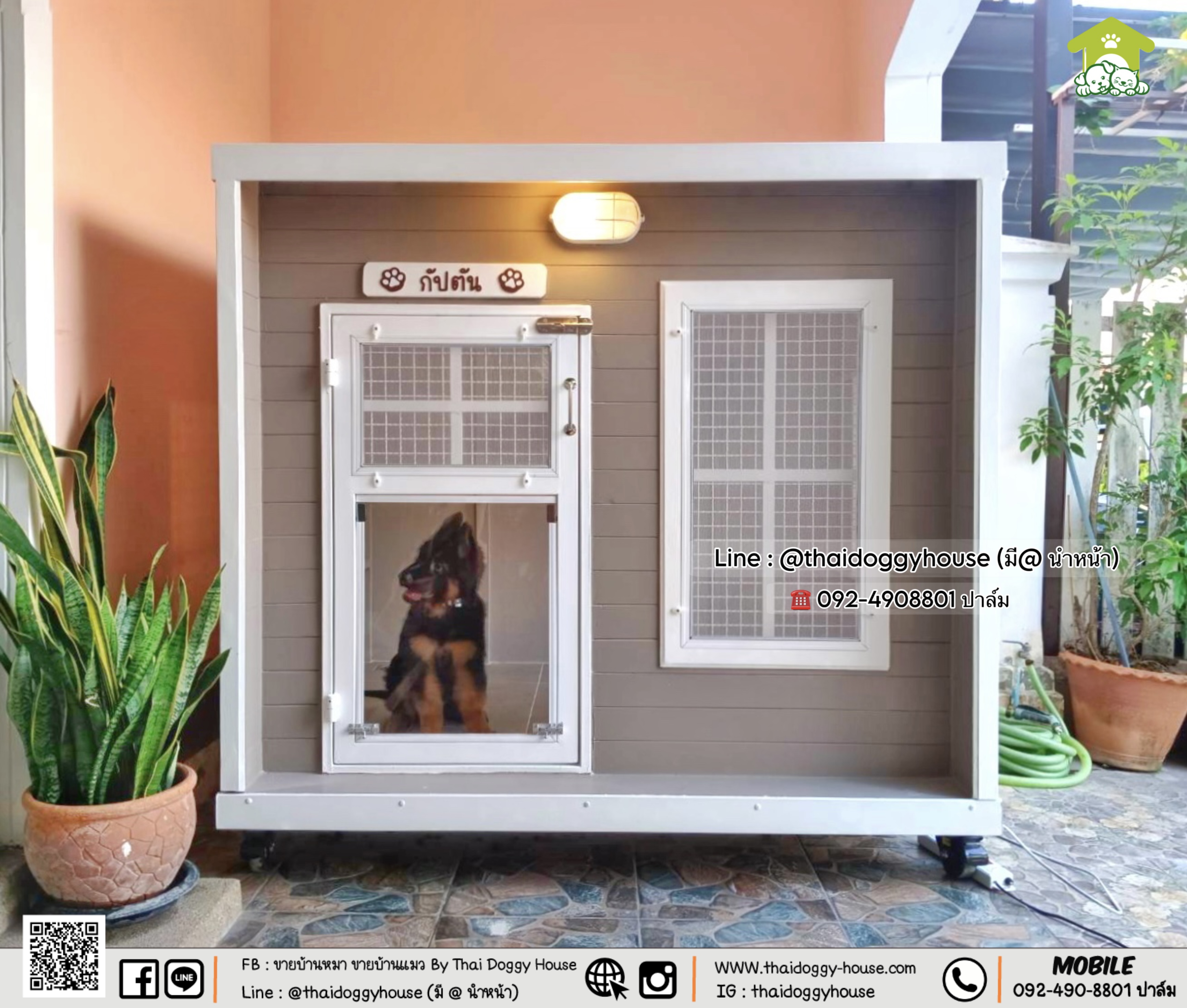 บ้านหมา บ้านแมว 𝐓𝐡𝐚𝐢 𝐝𝐨𝐠𝐠𝐲 𝐡𝐨𝐮𝐬𝐞 🐈🦮🐾 ✨แบบบ้าน 𝐁𝐨𝐱 𝐬𝐭𝐲𝐥e
