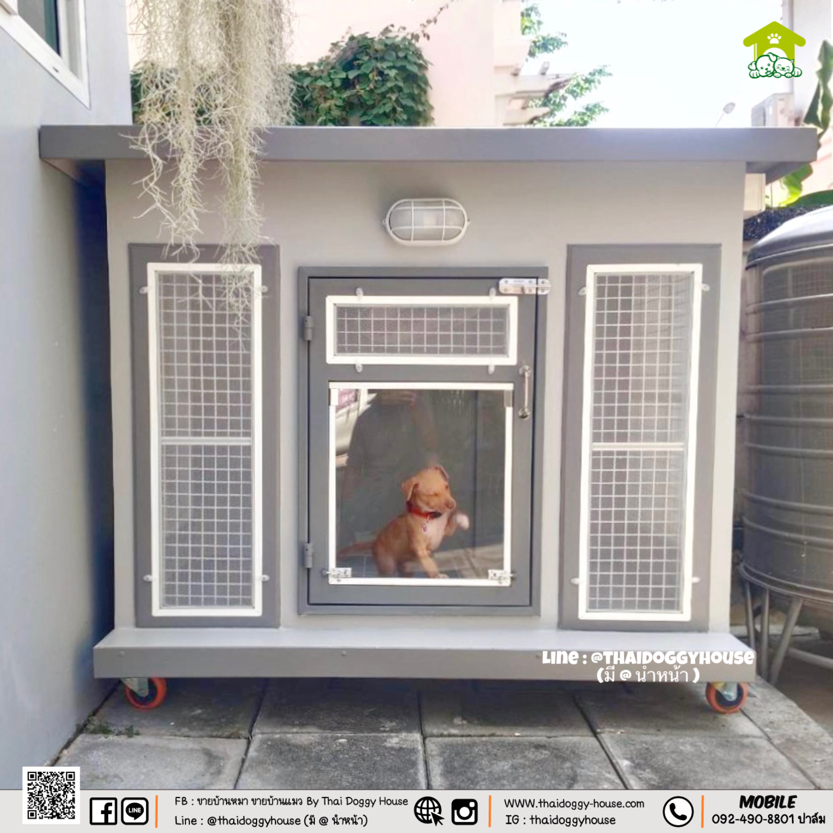 บ้านหมา บ้านแมว " 𝐁𝐎𝐗 𝐒𝐓𝐘𝐋𝐄 𝐁𝐘 𝐓𝐇𝐀𝐈 𝐃𝐎𝐆𝐆𝐘 𝐇𝐎𝐔𝐒𝐄 "