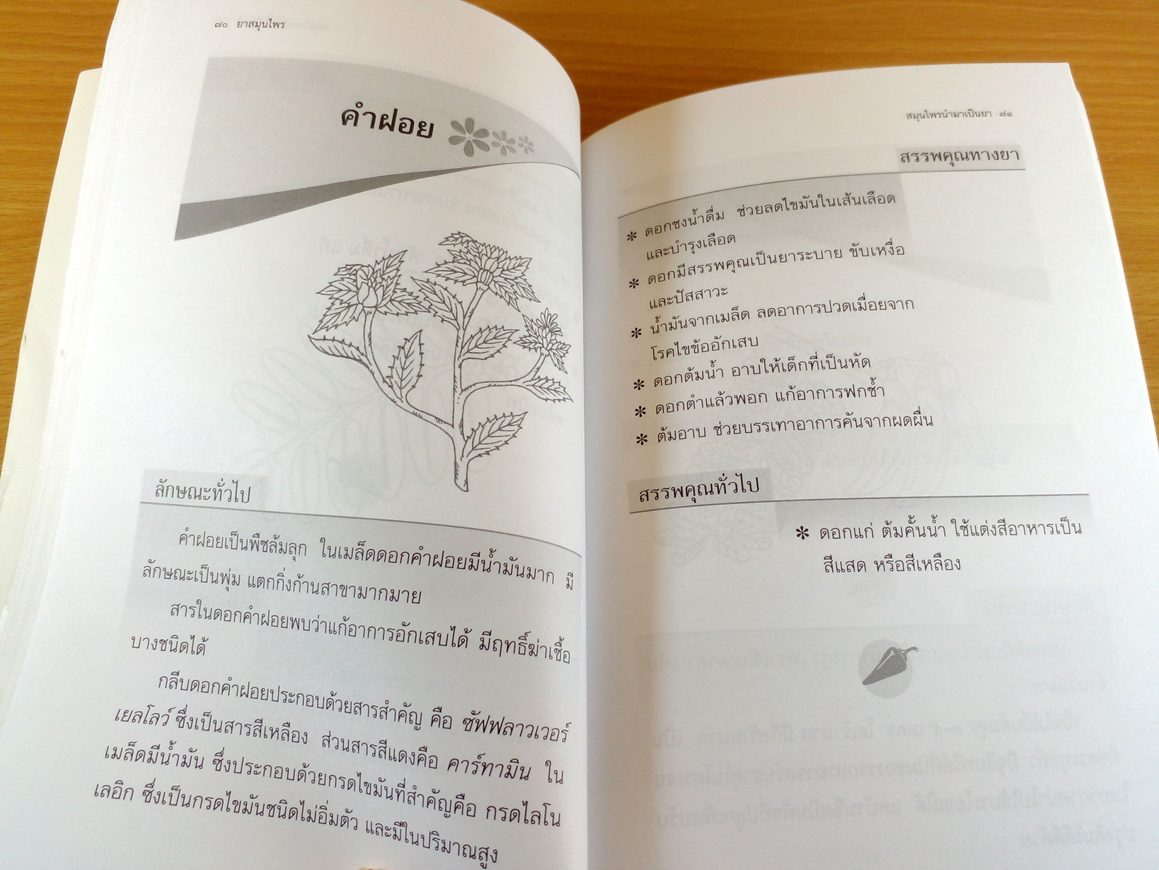 Herbal Medicine ยาสมุนไพร รักษาตามอาการตั้งแต่ศีรษะจรดเท้า