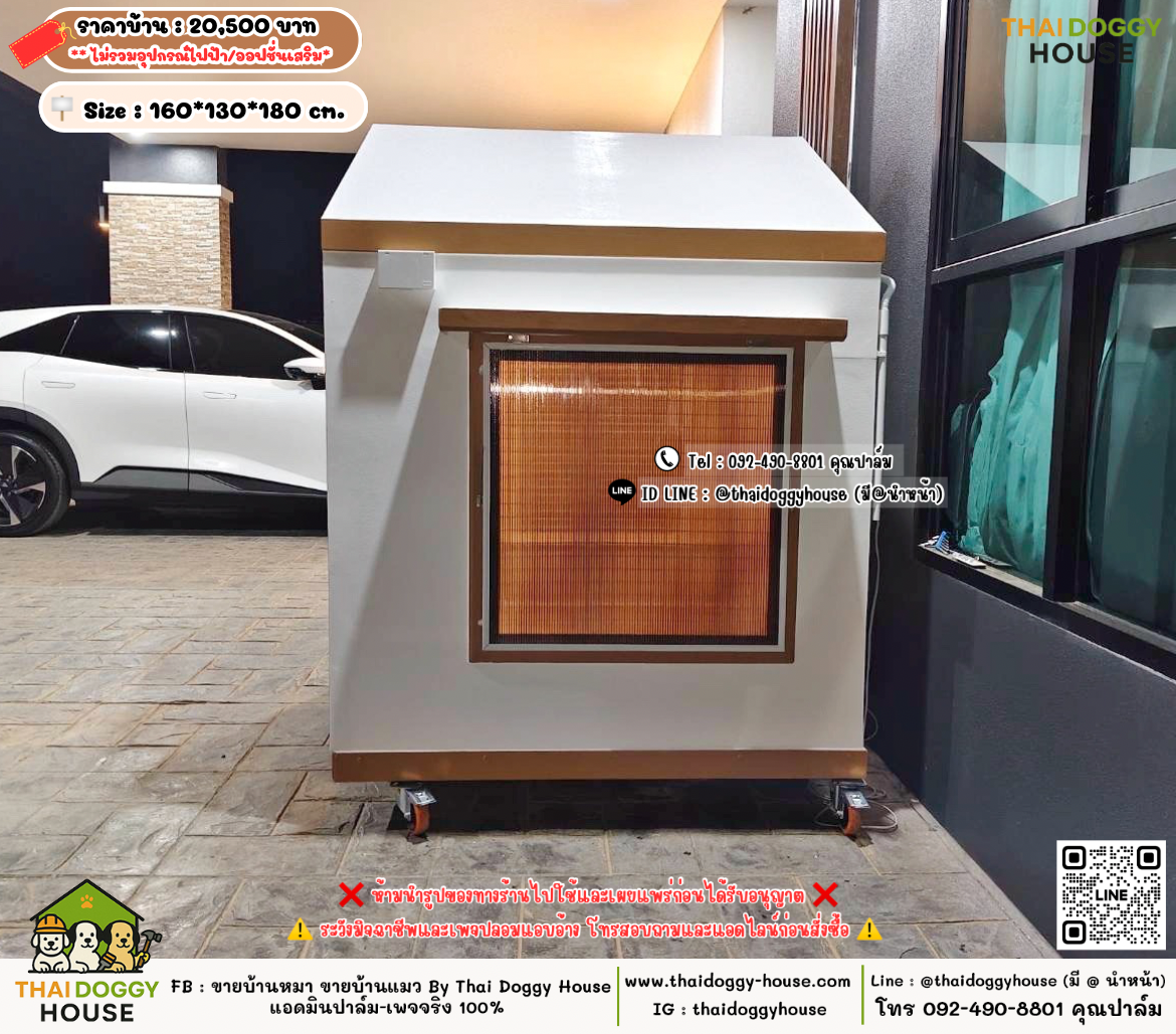 บ้านหมา บ้านแมว 𝐓𝐡𝐚𝐢 𝐝𝐨𝐠𝐠𝐲 𝐡𝐨𝐮𝐬𝗲