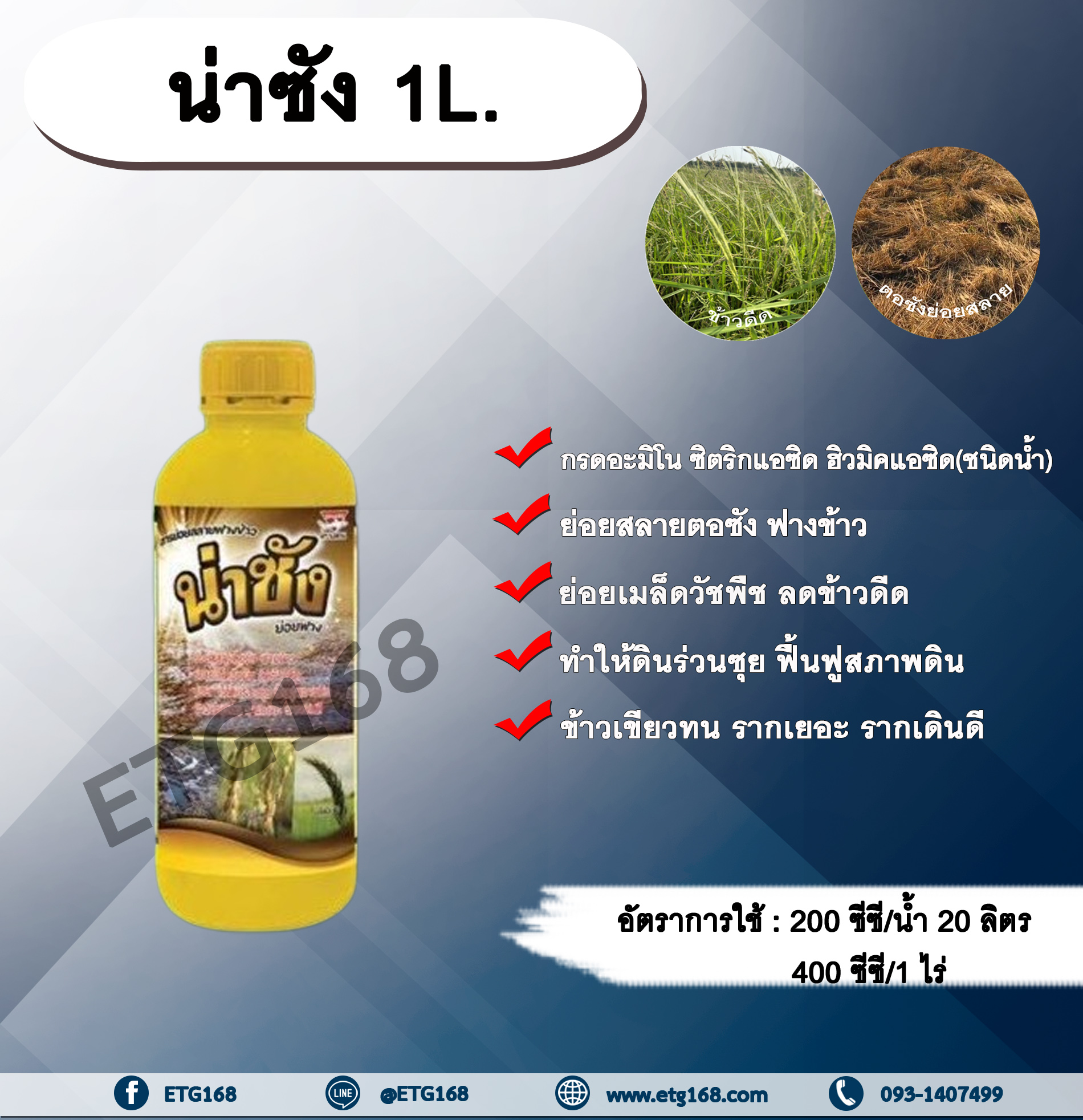 น่าชัง 1L. สารย่อยสลายฟางข้าว ย่อยสลายตอซังซังข้าว ย่อยเมล็ดวัชพืช ลดข้าวดีด ทำให้ดินร่วนซุย ฟื้นฟูสภาพดิน ข้าวเขียวทน สำเนา