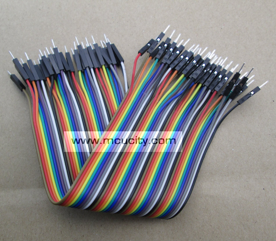 สายแพ (2.54mm) 40 pin to 40 pin (Male-Male) 20 cm