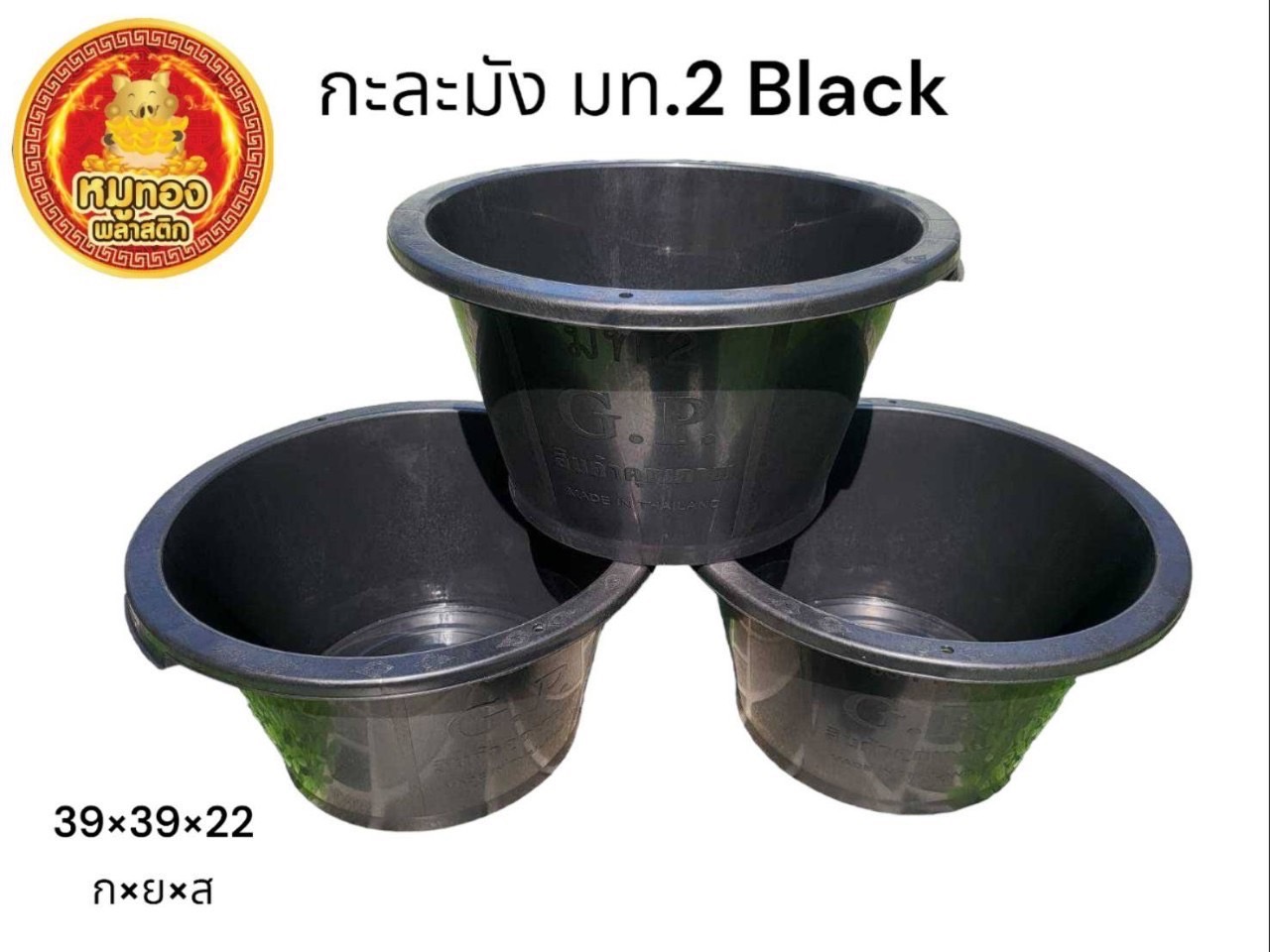 กะละมังดำ มท2 (หมูทอง) (ราคาต่อโหล)