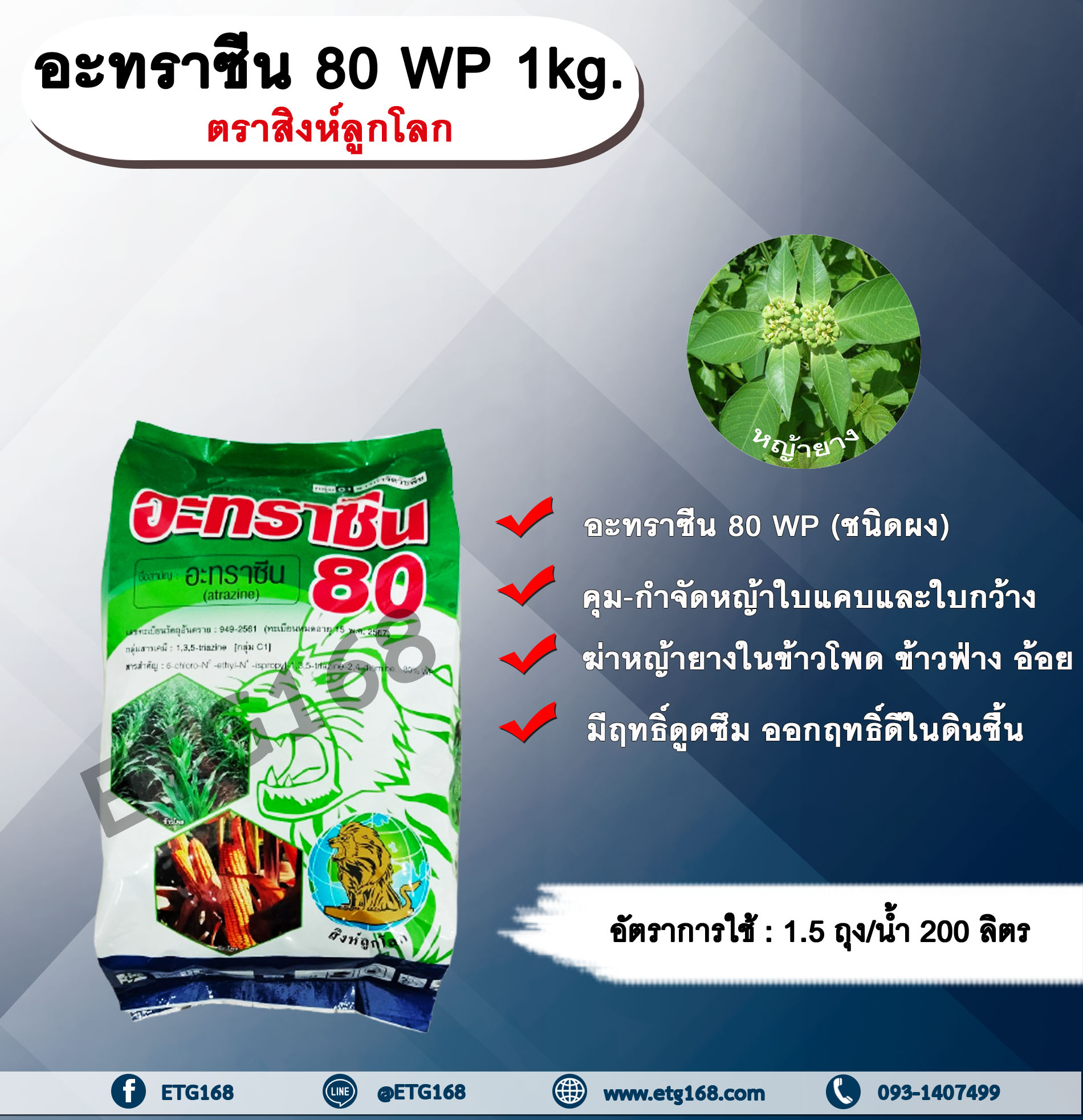 อาทราซีน 80 1kg. ตราสิงห์ลูกโลก อาทราซีน อะทราซีน สารคุมและกำจัดวัชพืช แบบดูดซึม ชนิดผง