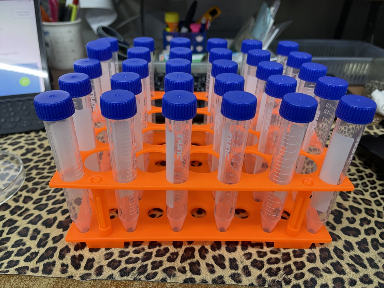 Rack for Tube centrifuge 15 ml, 50 ml