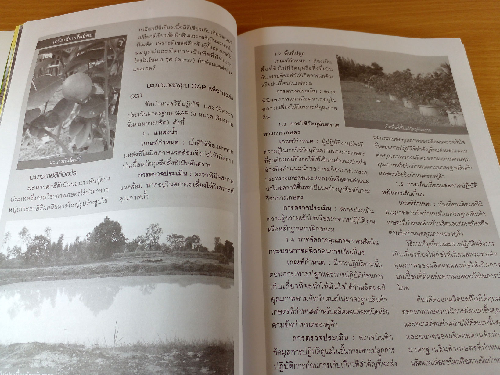 20 เทคนิค 20 สวนมะนาวเงินล้าน 5 ภาค