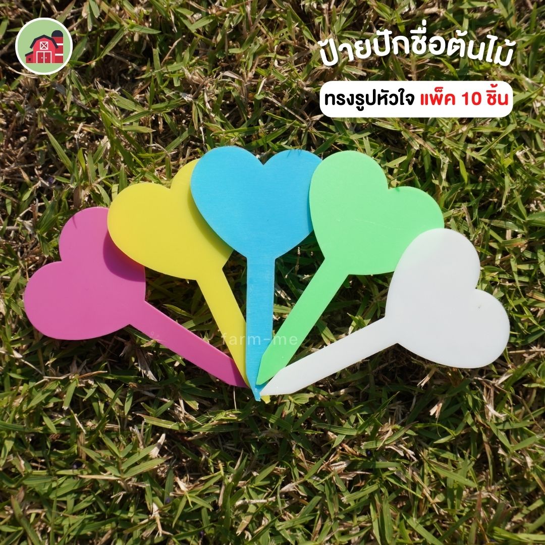 ป้ายปักชื่อต้นไม้ รูปหัวใจ แพ็ค 10 ชิ้น
