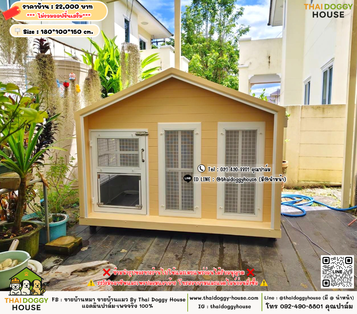 บ้านหมา บ้านแมว 𝐓𝐡𝐚𝐢 𝐝𝐨𝐠𝐠𝐲 𝐡𝐨𝐮𝐬𝗲