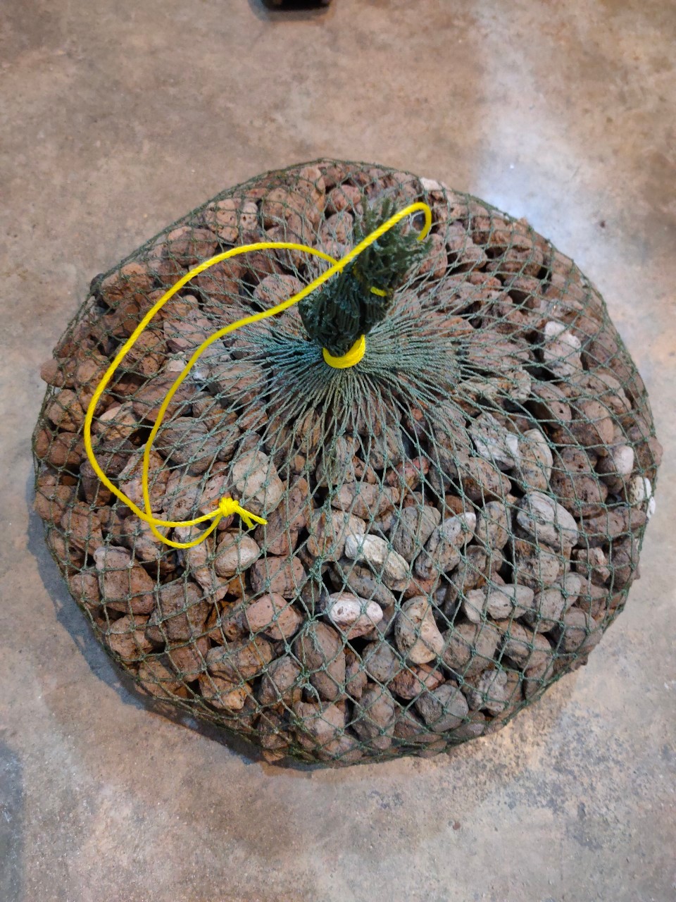 หินพัมมิส หินภูเขาไฟ 1kg.