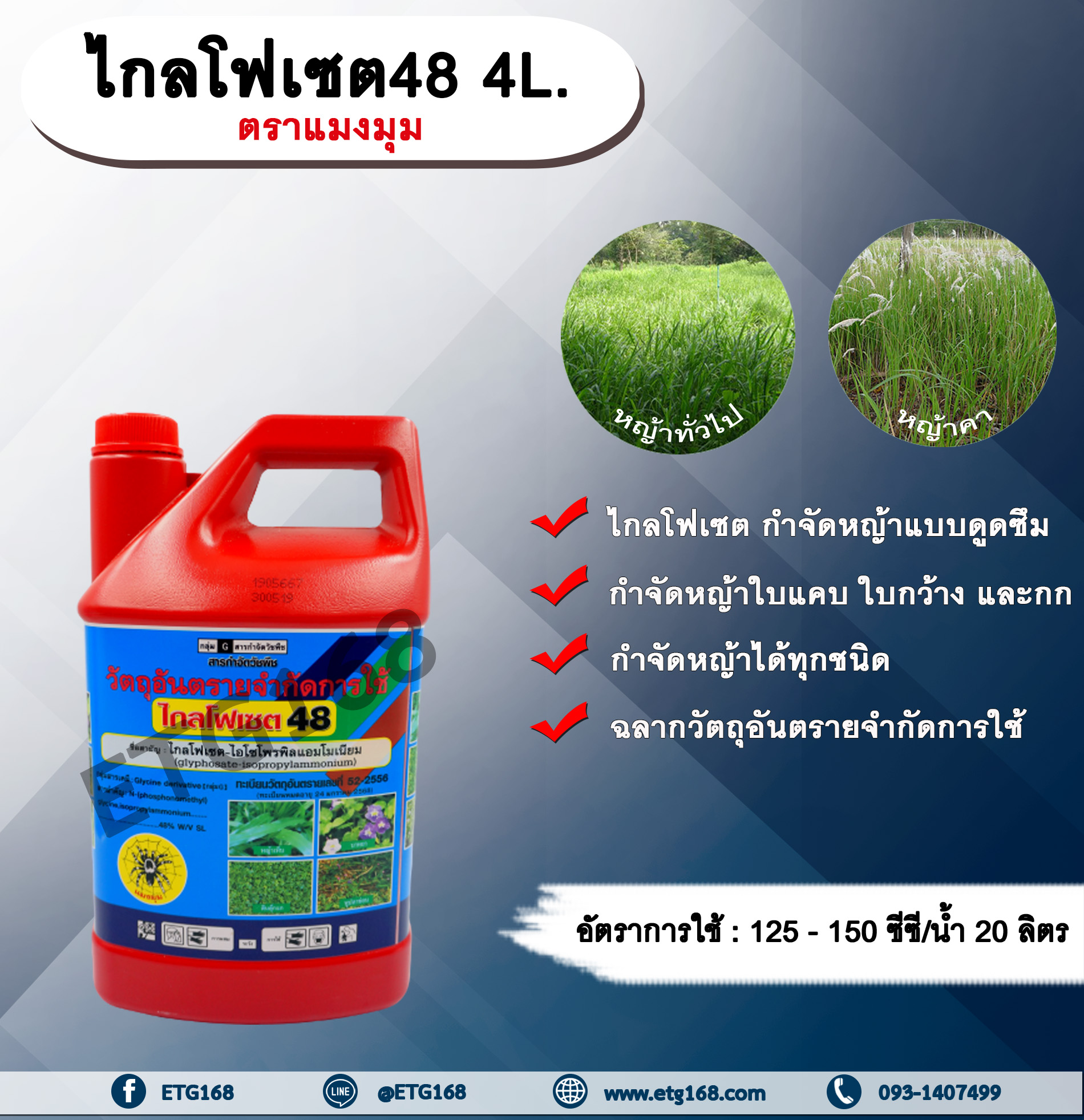 ไกลโฟเซต48 ตราแมงมุม 4L. ไกลโฟเซต สารกำจัดวัชพืช แบบดูดซึม กำจัดหญ้าทั่วไป หญ้าคา วัชพืชข้ามปี และกก ดูดซึมไม่เลือกทำลาย