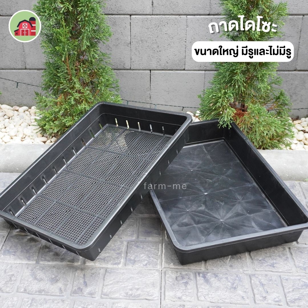 ถาดไดโซะ ขนาดใหญ่