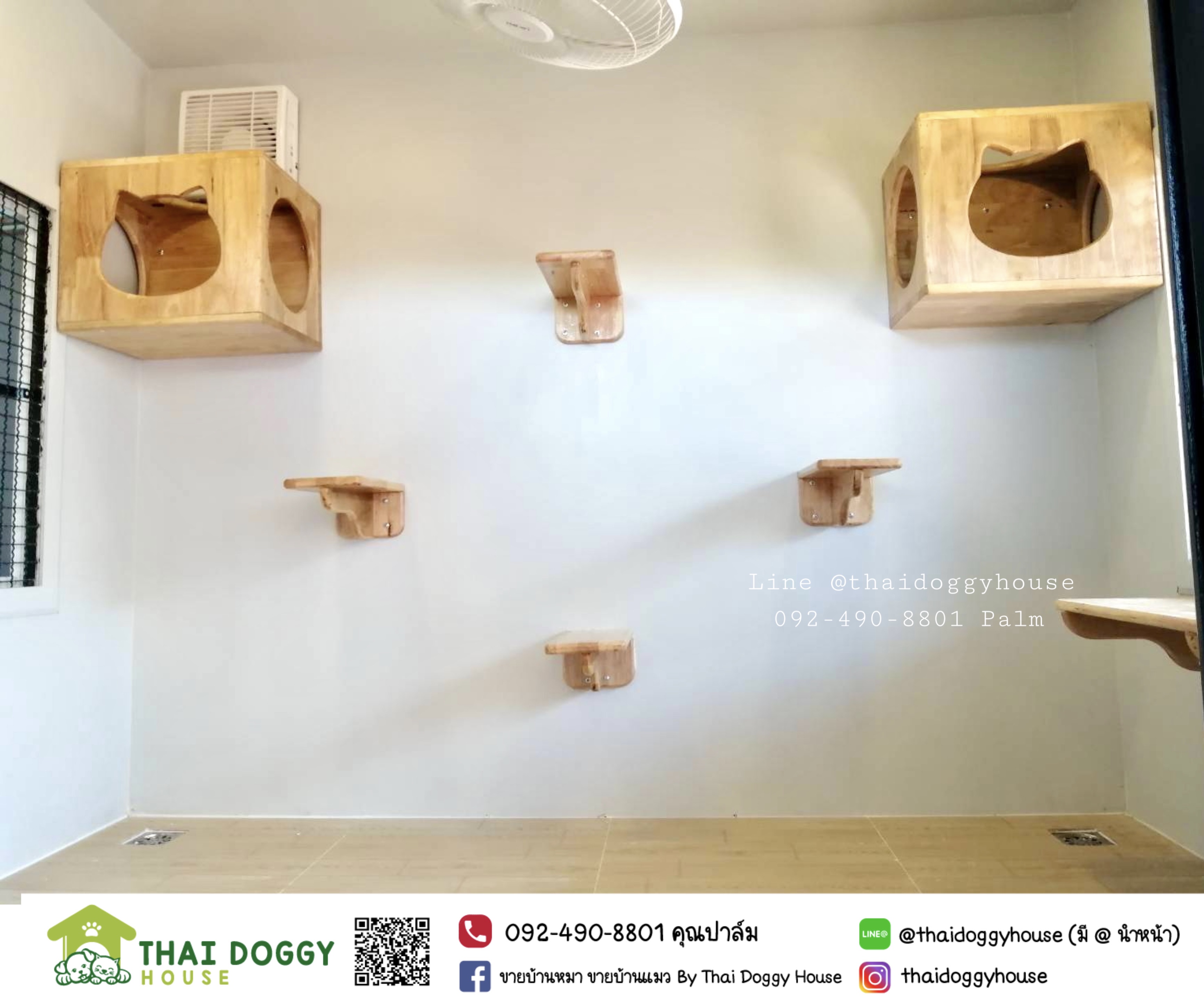 บ้านแมว โปร่งสบาย ติดตั้งของเล่นแมวเพิ่มได้