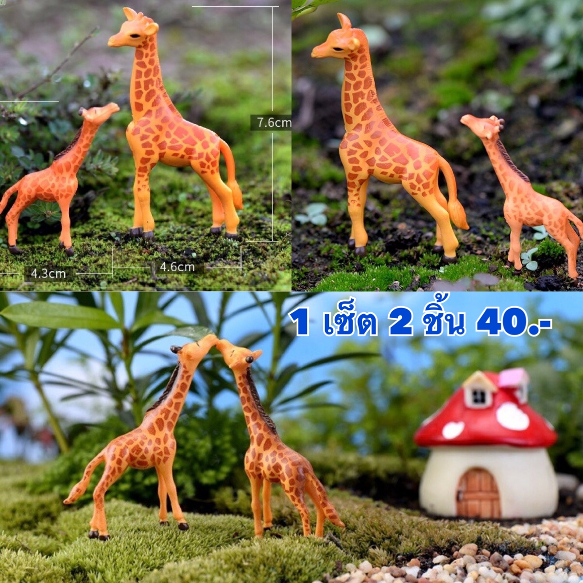 ยีราฟ