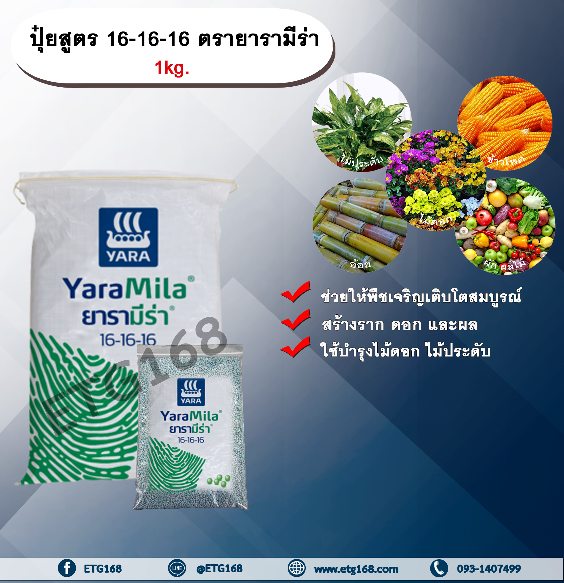 ปุ๋ยสูตร 16-16-16 ตรายารามีร่า 1kg. ช่วยให้พืชเจริญเติบโต ใบสีเขียวสด เร่งต้น เร่งดอก เร่งผล