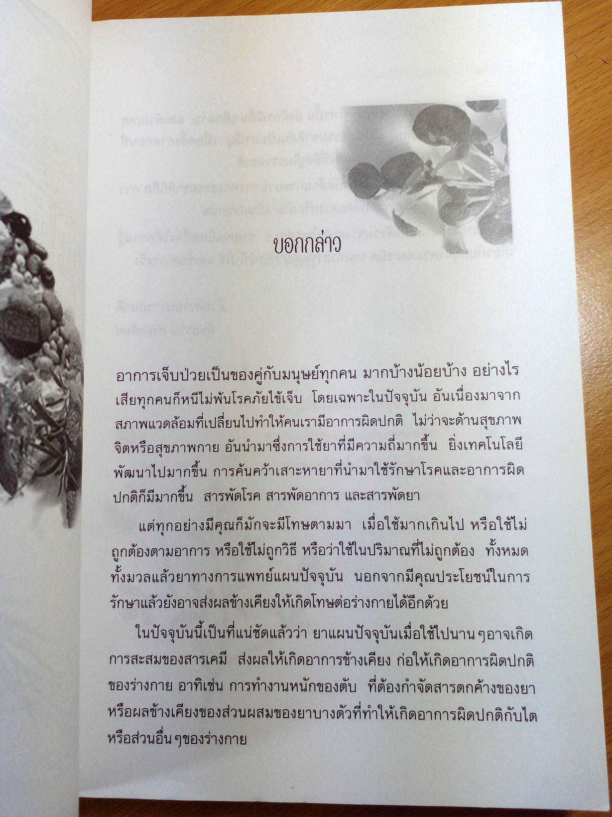 สมุนไพร สรรพคุณและประโยชน์เพื่อการนำไปใช้