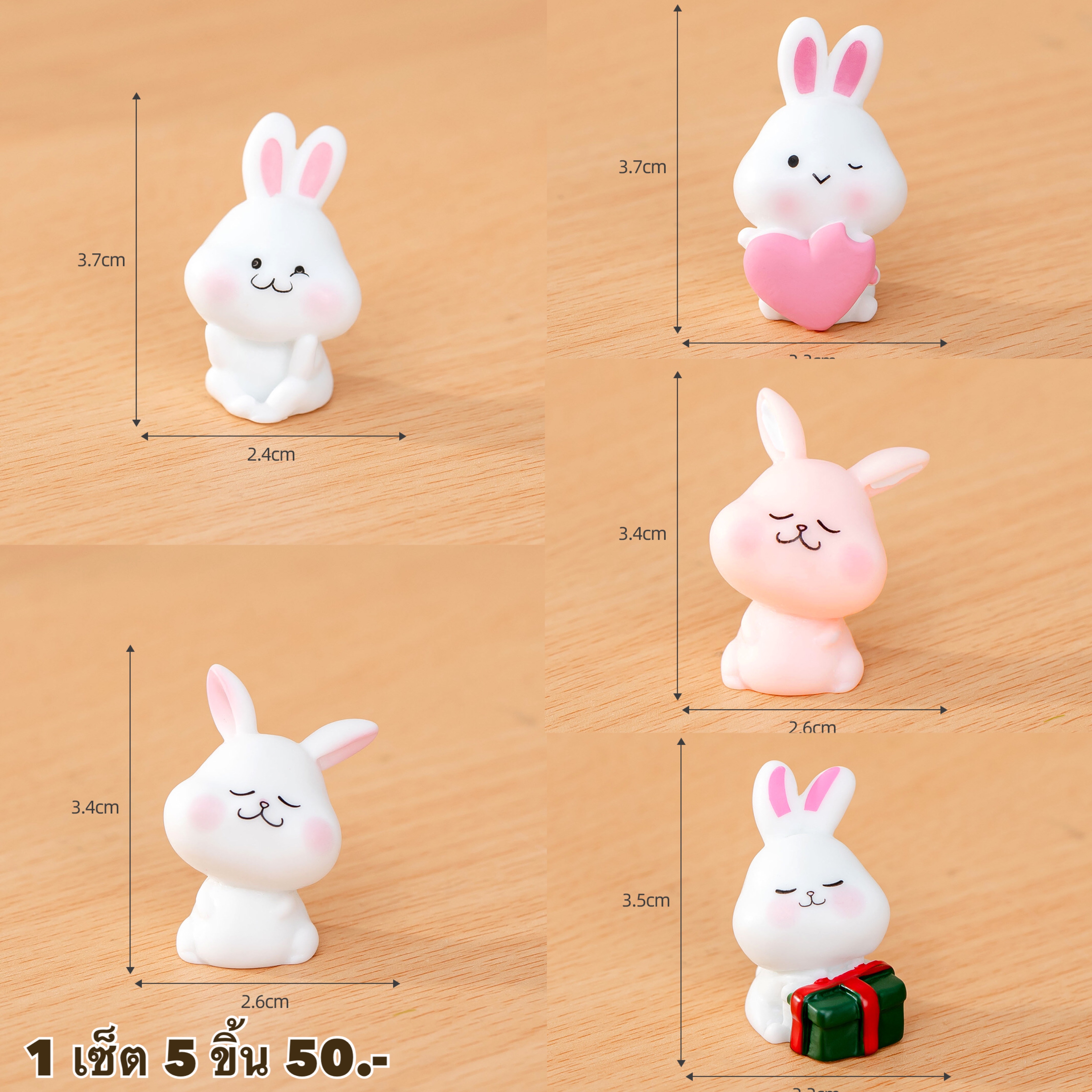 กระต่าย 5 ชิ้น