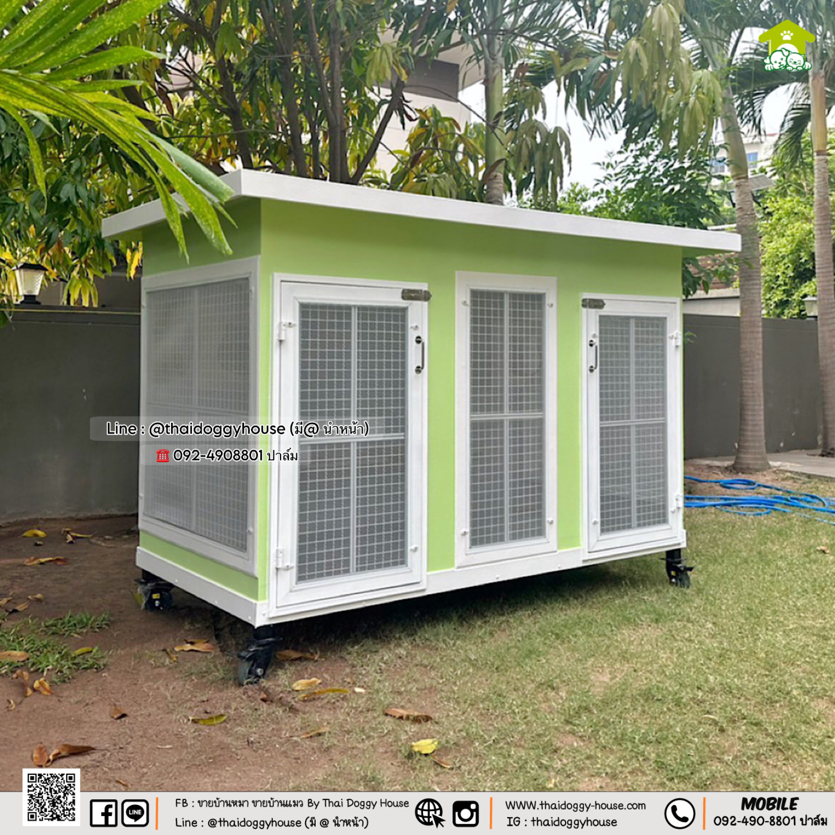 🏡 บ้านหมา บ้านแมว " 𝐁𝐎𝐗 𝐒𝐓𝐘𝐋𝐄 𝐁𝐘 𝐓𝐇𝐀𝐈 𝐃𝐎𝐆𝐆𝐘 𝐇𝐎𝐔𝐒𝐄