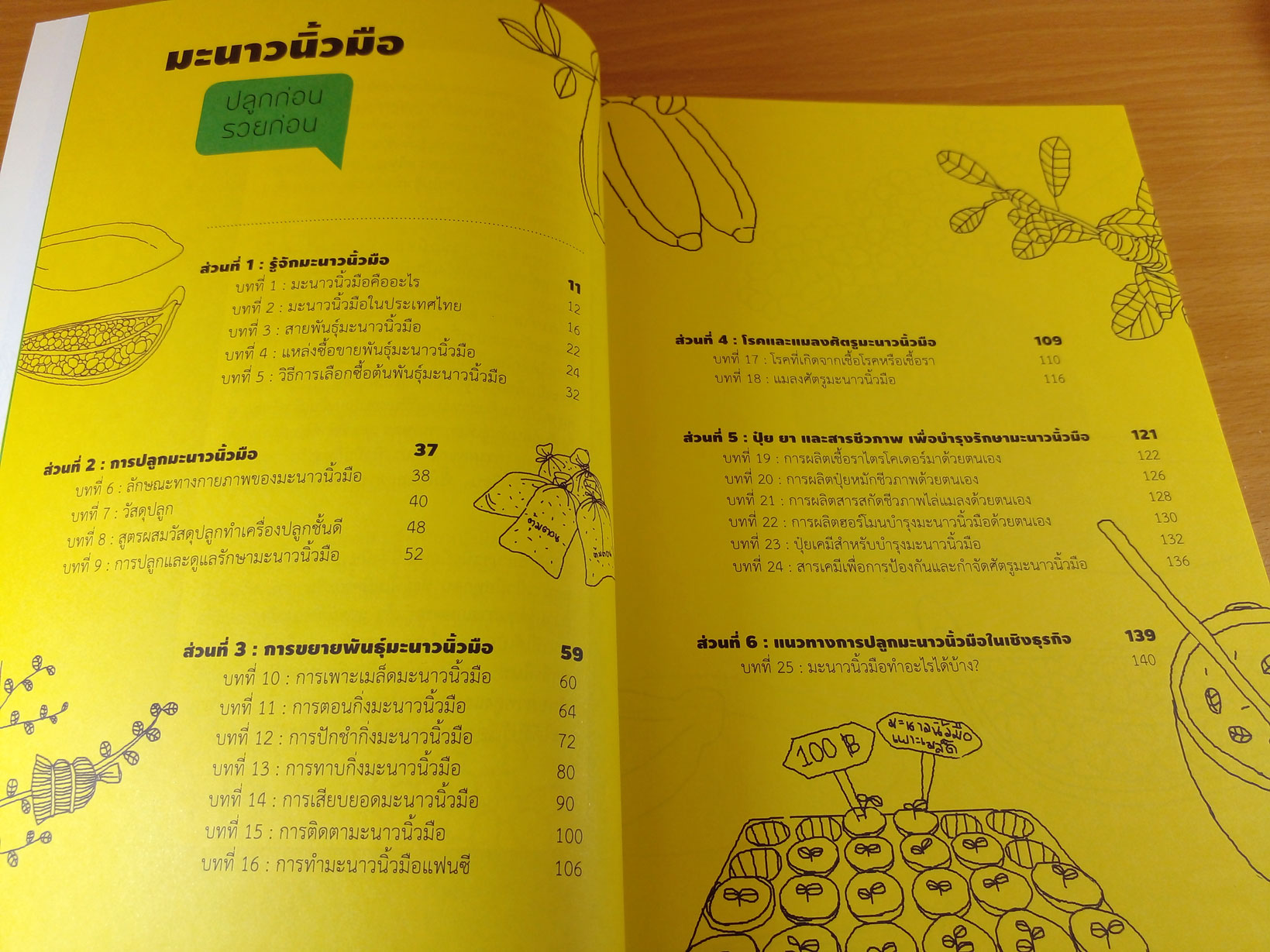 ทำเงินจากมะนาวนิ้วมือ เผยทุกขั้นตอนจากผู้ลงมือปลูกและสำเร็จจริง