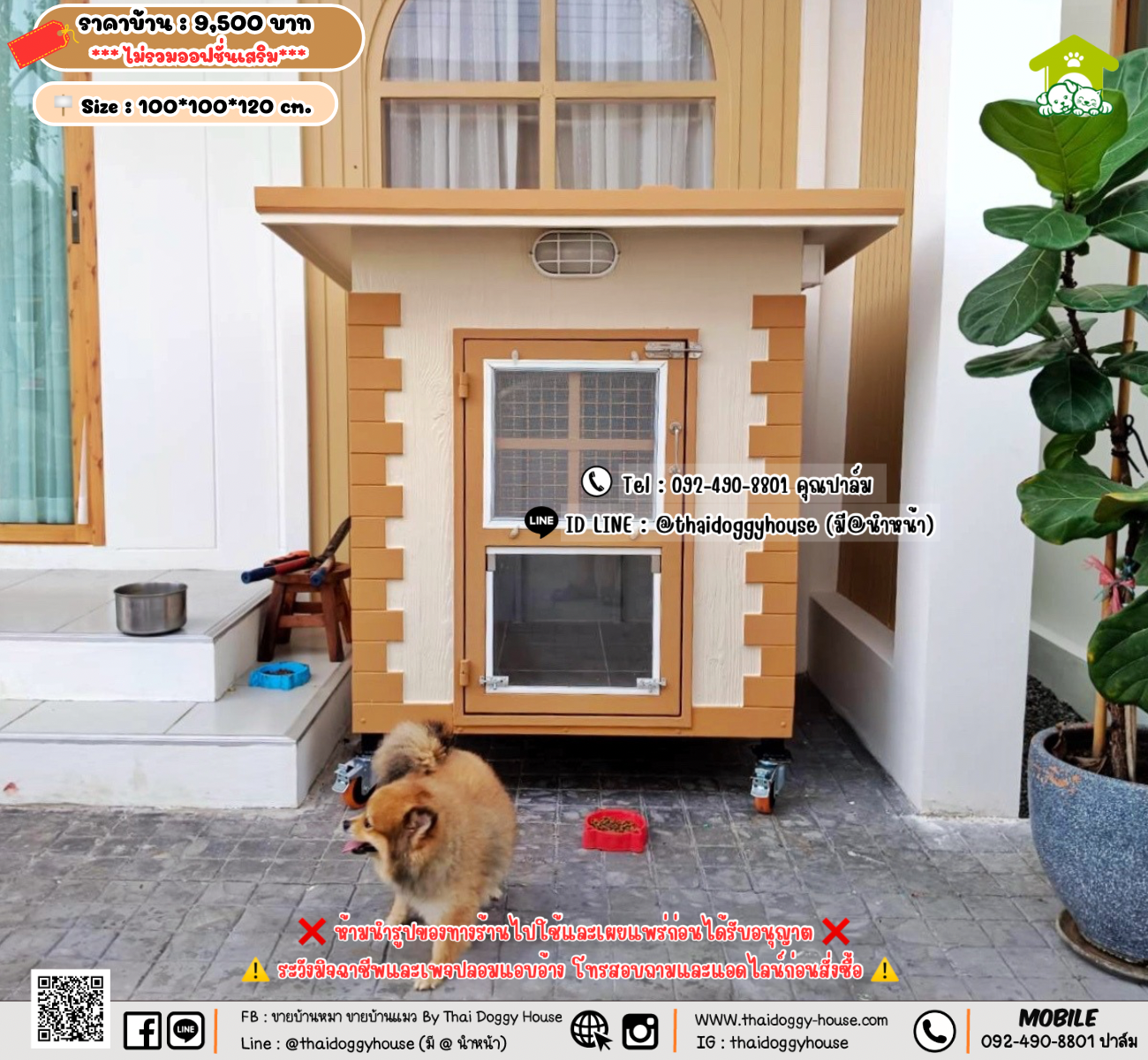 บ้านหมา บ้านแมว 𝐓𝐡𝐚𝐢 𝐝𝐨𝐠𝐠𝐲 𝐡𝐨𝐮𝐬𝗲