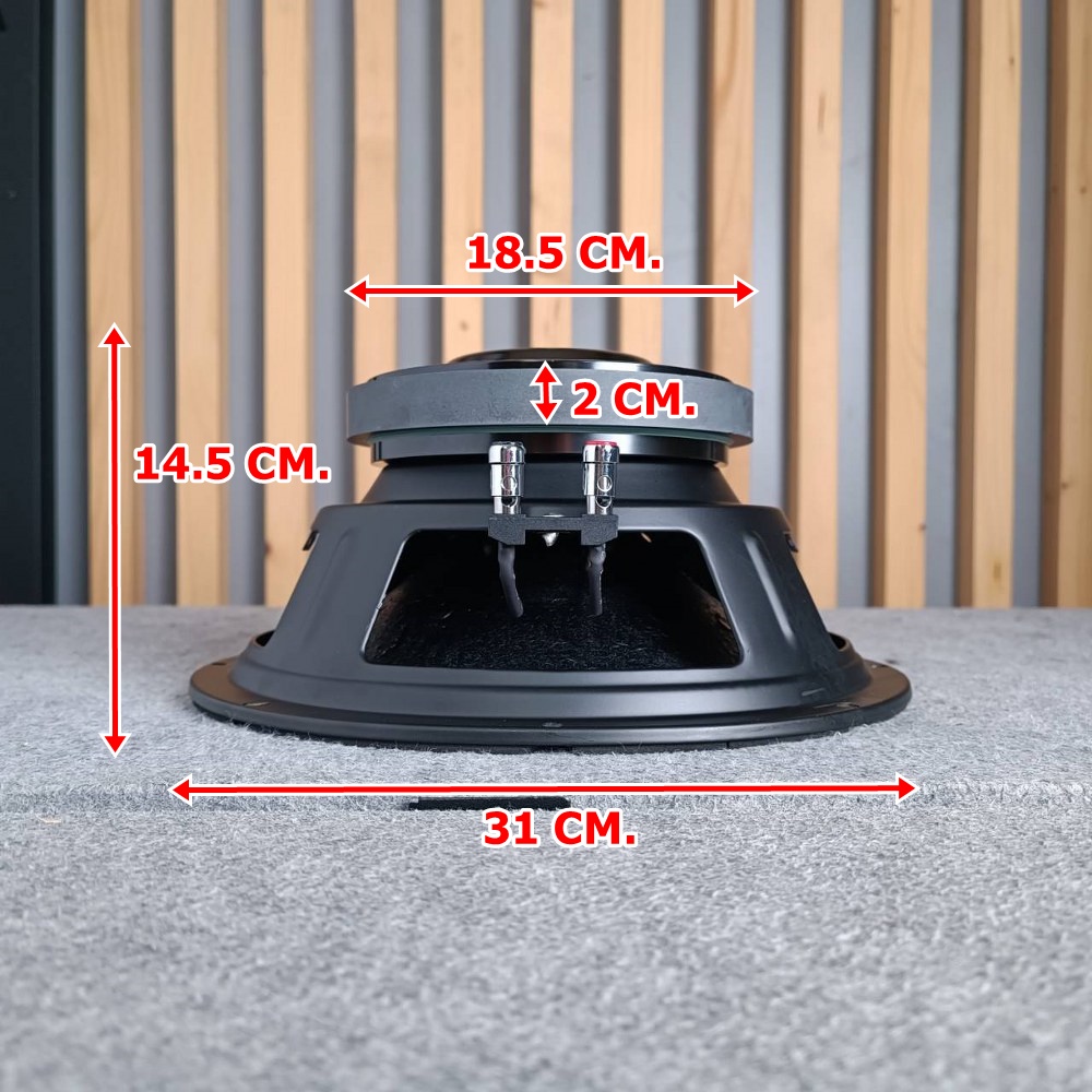 KANE E12-300Q ลำโพง 12นิ้ว ดอกลำโพง12" โครงปั๊ม ดอก12นิ้ว วอยซ์2.5นิ้ว คาเนะ E12 300Q E12300Q เอไอ-ไพศาล