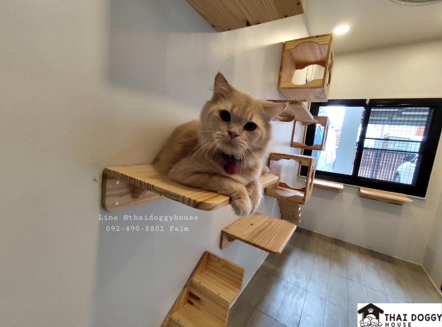 บ้านหมา แบบติดแอร์