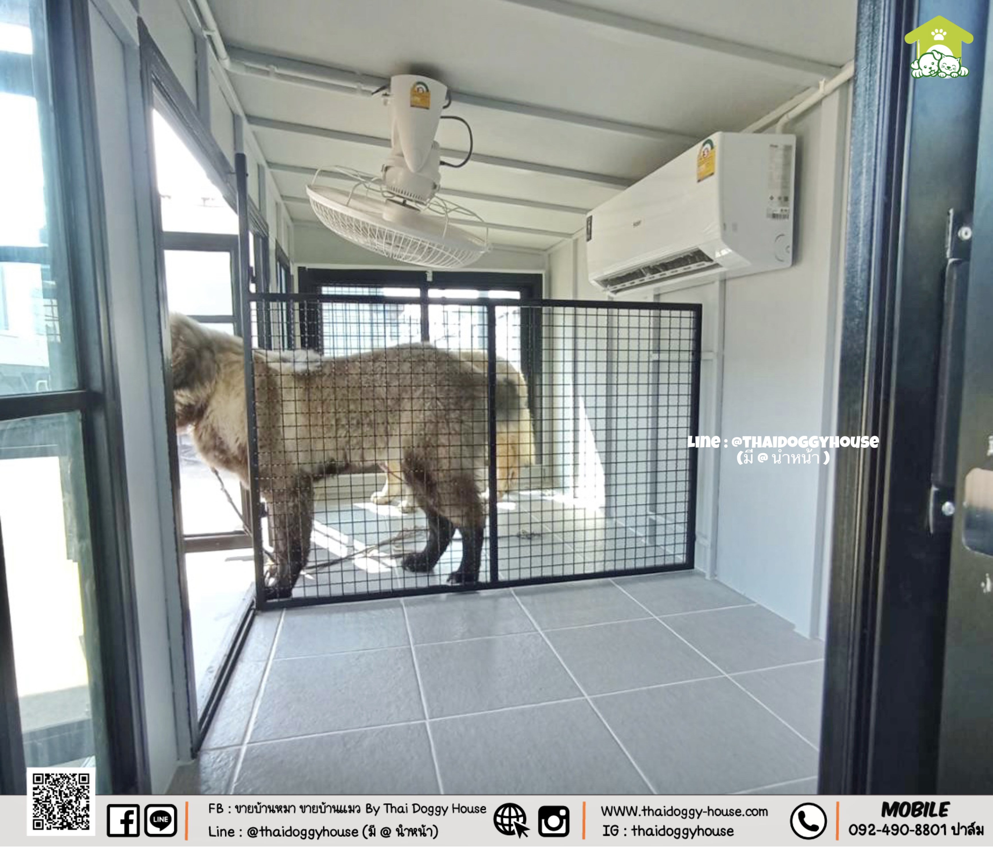 บ้านหมา บ้านแมว " 𝐁𝐎𝐗 𝐒𝐓𝐘𝐋𝐄 𝐁𝐘 𝐓𝐇𝐀𝐈 𝐃𝐎𝐆𝐆𝐘 𝐇𝐎𝐔𝐒𝐄 "