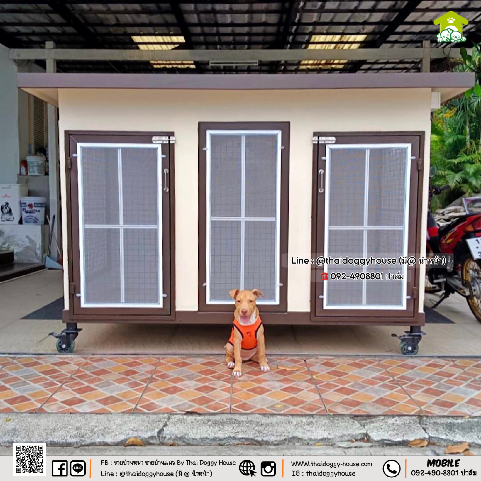 บ้านหมา บ้านแมว " 𝐁𝐎𝐗 𝐒𝐓𝐘𝐋𝐄 𝐁𝐘 𝐓𝐇𝐀𝐈 𝐃𝐎𝐆𝐆𝐘 𝐇𝐎𝐔𝐒𝐄 "