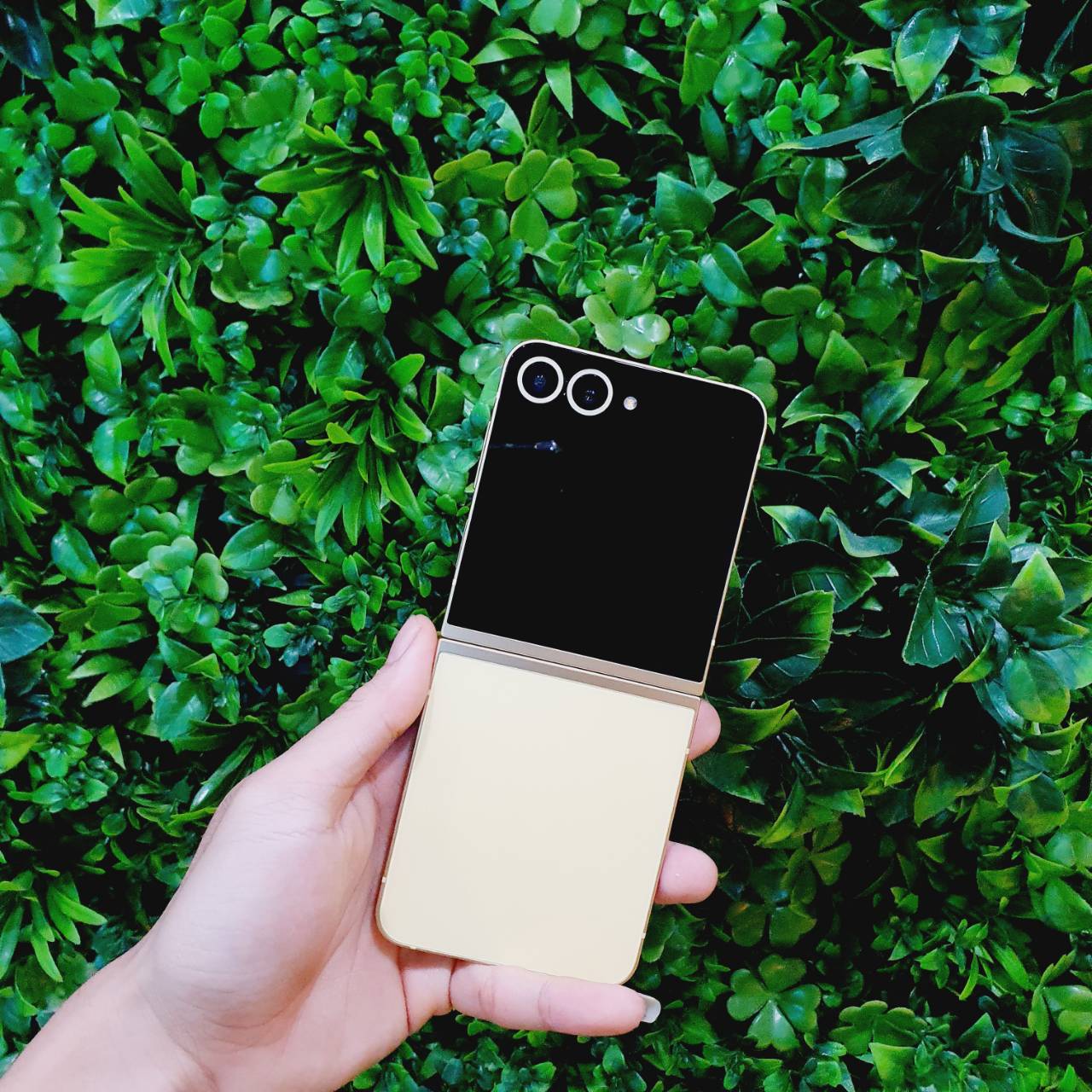 🐝🍯Samsung galaxy Z Flip6 12/256GB Yellow 5G 🍯🐝ห้ามพลาด ‼️ Flip6 จอพับตัวจิ๋ว สเปคแรง พกพาสะดวก ราคาโคตรคุ้ม😍