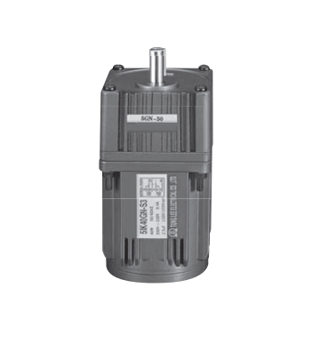 Motor Induction motor 60W 220V