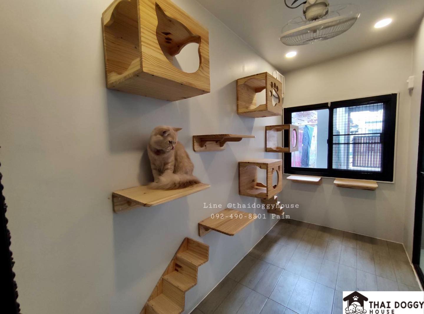 บ้านหมา แบบติดแอร์