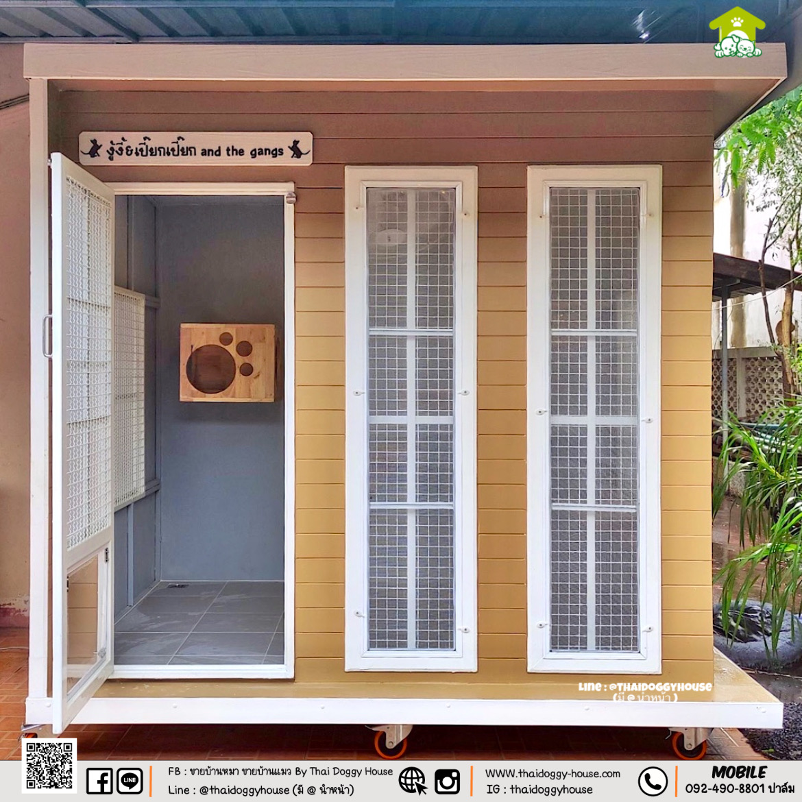 บ้านหมา บ้านแมว " 𝐁𝐎𝐗 𝐒𝐓𝐘𝐋𝐄 𝐁𝐘 𝐓𝐇𝐀𝐈 𝐃𝐎𝐆𝐆𝐘 𝐇𝐎𝐔𝐒𝐄 "