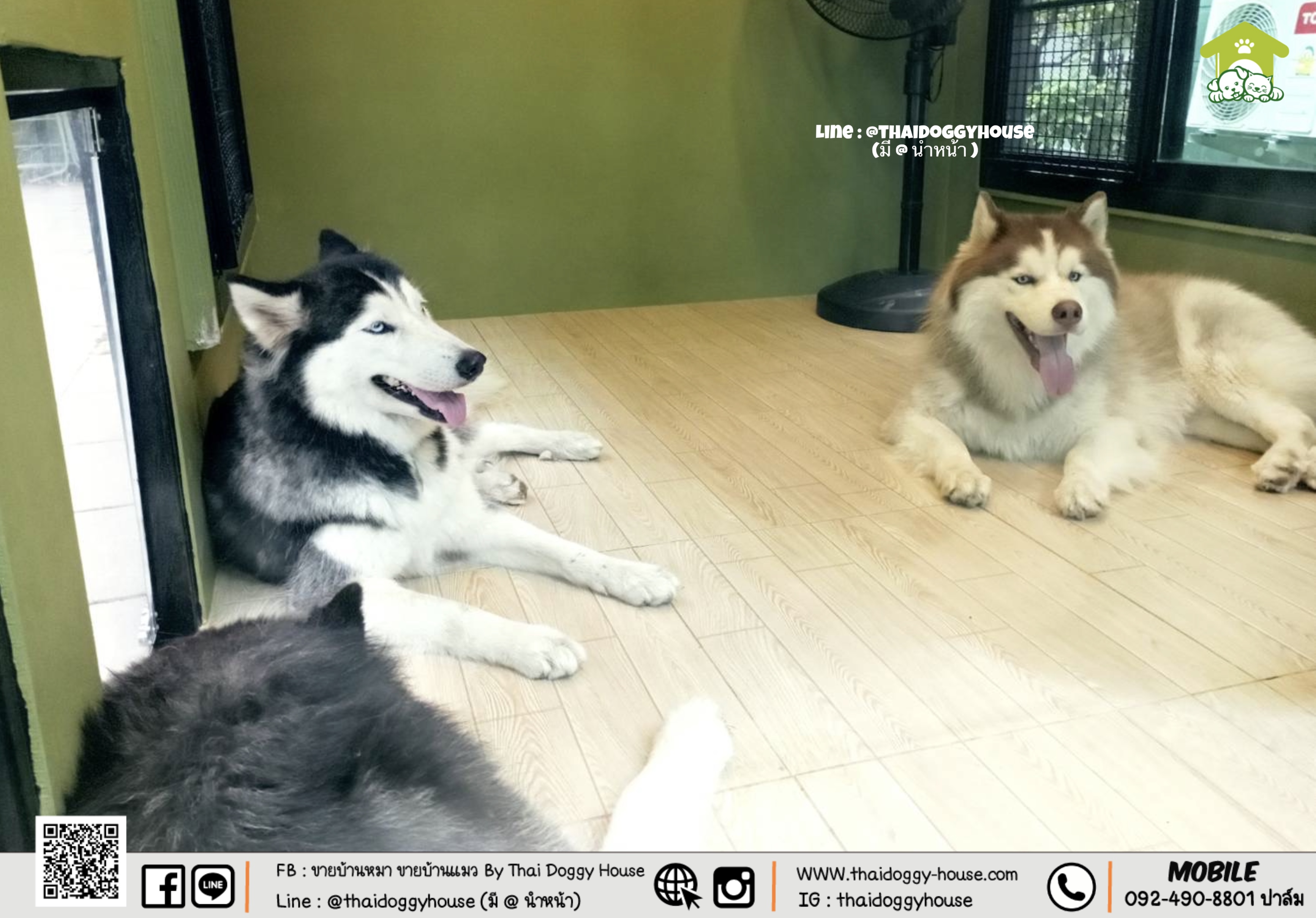 🏠 " 𝐍𝐎𝐑𝐃𝐈𝐂 𝐒𝐓𝐘𝐋𝐄 " บ้านดีไซน์สวย *** ยกเลิกขายแบบนี้แล้วนะคะ ***