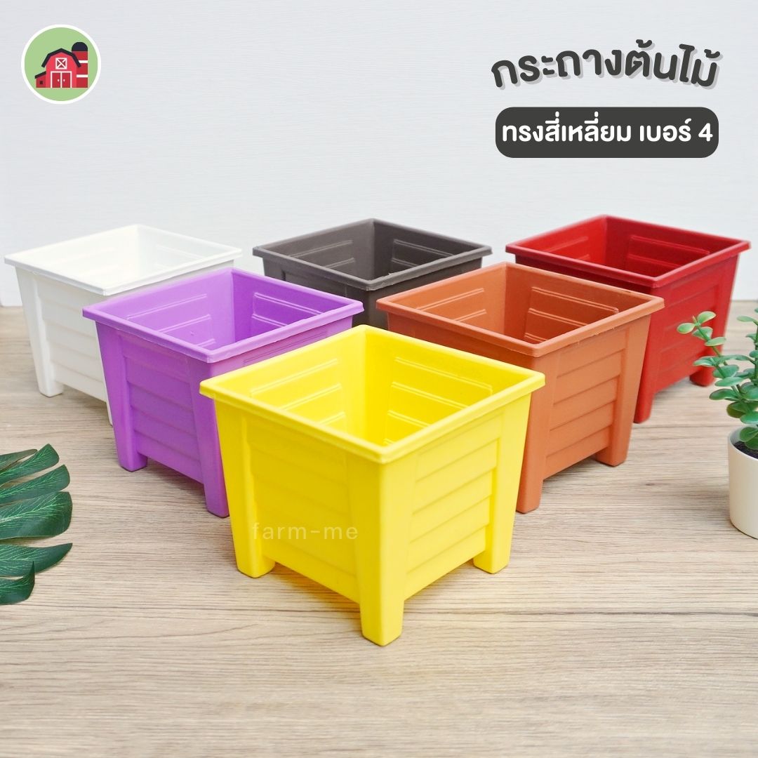 กระถางต้นไม้ ทรงสี่เหลี่ยม ขนาด 4 นิ้ว