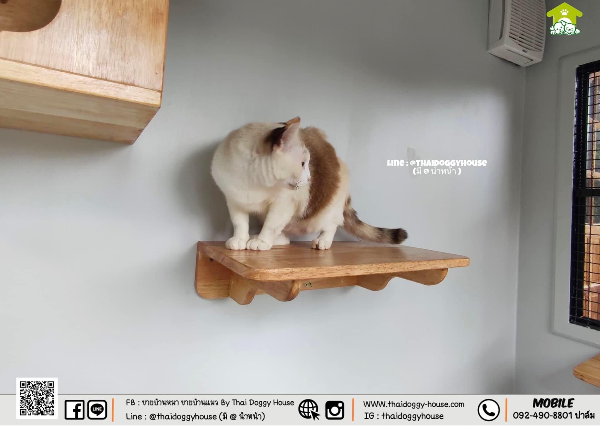 บ้านหมา บ้านแมว Modern Style Thai Doggy House พร้อมตะแกรงเหล็ก มุ้งลวด