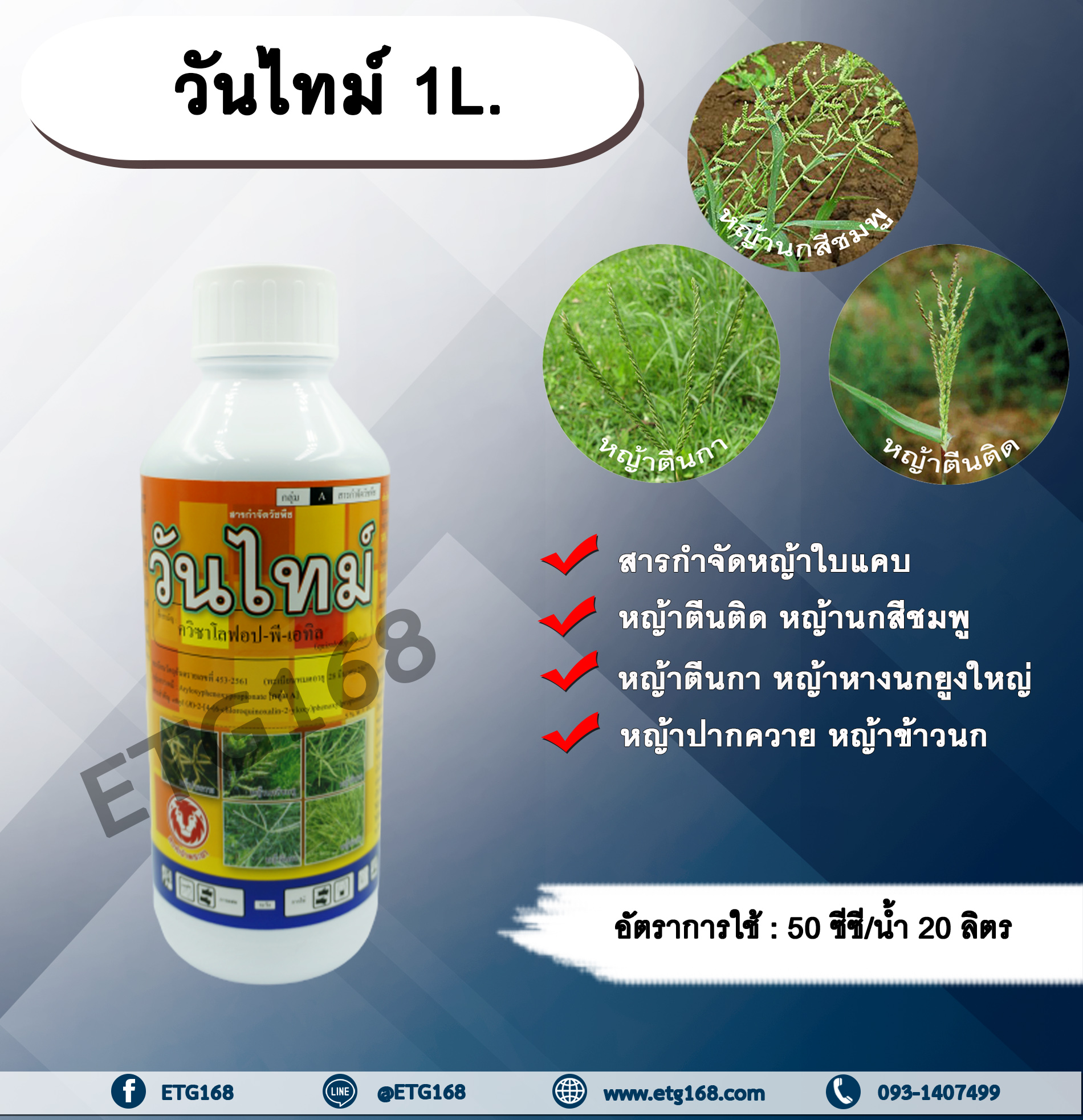 วันไทม์ 1L. ควินซาโลฟอบ-พี-เอทิล กำจัดหญ้าใบแคบ วัชพืชใบแคบ ในพืชประธานใบกว้าง หญ้าใบแคบ