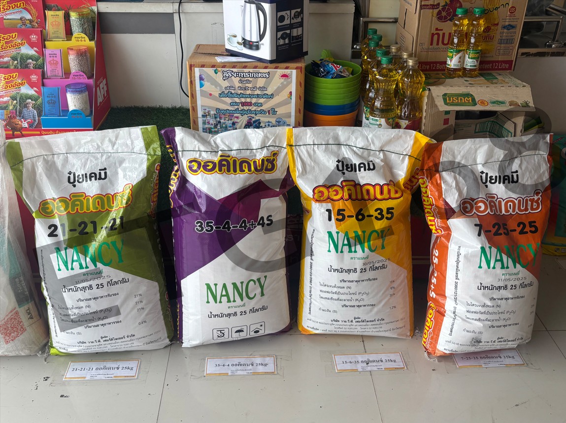 ปุ๋ยเกล็ด 15-6-35 ออคิเดนซ์ 25kg. ตราแนนซี่ ปุ๋ยระบบน้ำ ปุ๋ยเกล็ดระบบน้ำคุณภาพสูง สูตรบำรุงผลผลิต สร้างความสมบูรณ์แก่ลำต้นและใบ ติดผลดีสม่ำเสมอ ผลสมบูรณ์ เพิ่มขนาด เพิ่มผลผลิต เพิ่มรสชาติ สร้างระบบราก รากเจริญเติบโตได้ดี