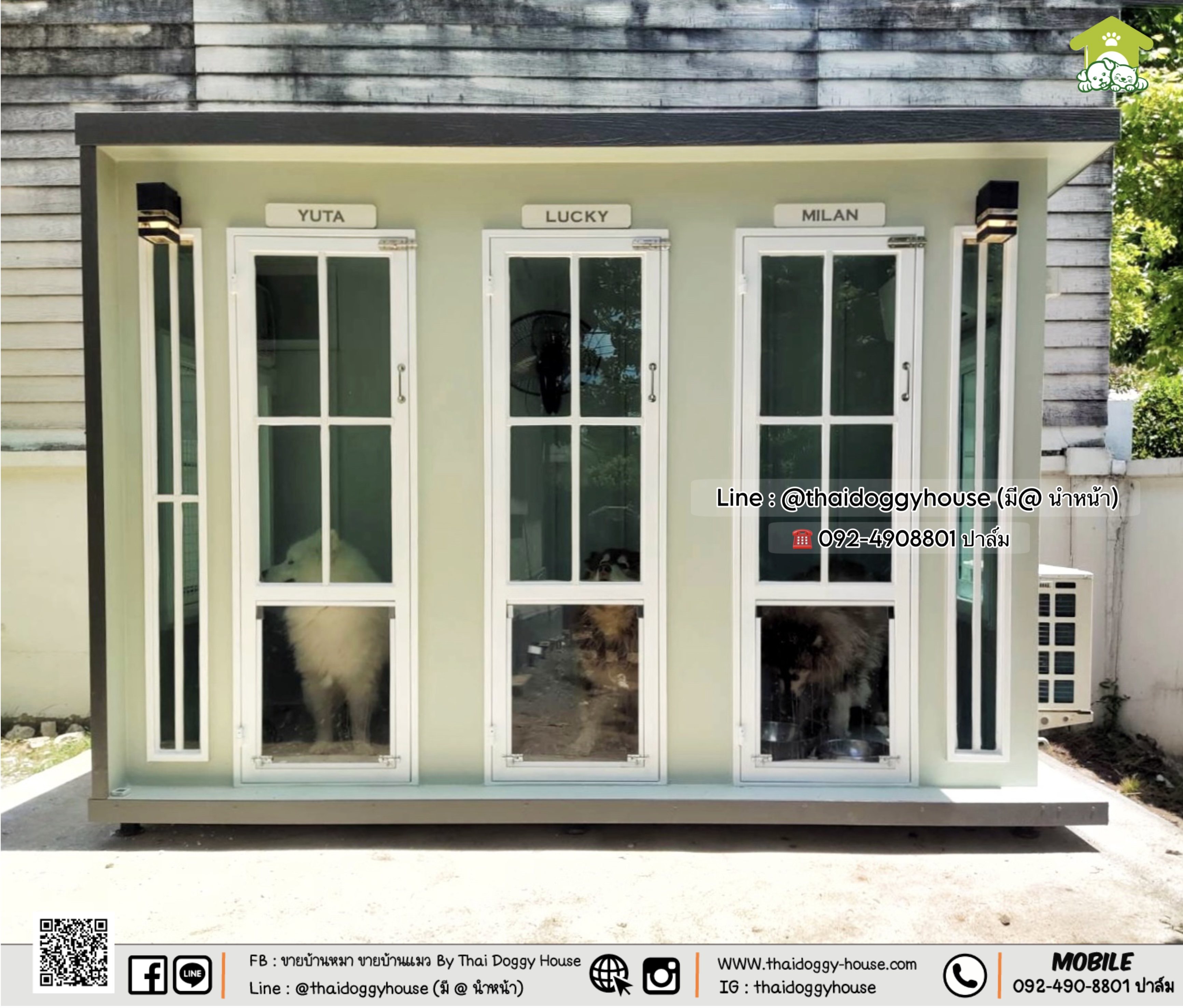 🏡 บ้านหมา บ้านแมว " 𝐁𝐎𝐗 𝐒𝐓𝐘𝐋𝐄 𝐁𝐘 𝐓𝐇𝐀𝐈 𝐃𝐎𝐆𝐆𝐘 𝐇𝐎𝐔𝐒𝐄