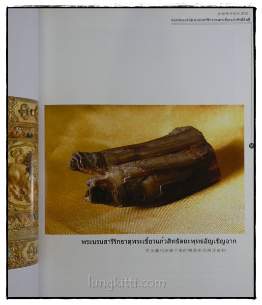 พระบรมสารีริกธาตุ พระเขี้ยวแก้ว 018453 (1)
