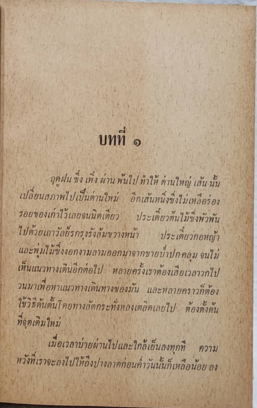 ผีตองเหลืองคนสุดท้าย (ชุดล่องไพร) / น้อย อินทนนท์ SKU-09965 2