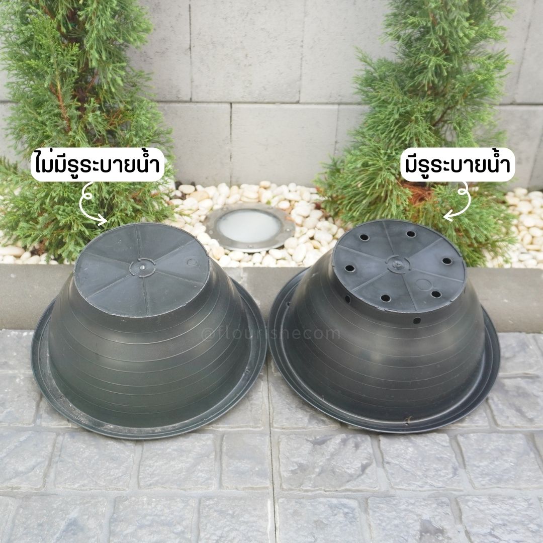 อ่างบัว (ทรงกระถางชวนชม)