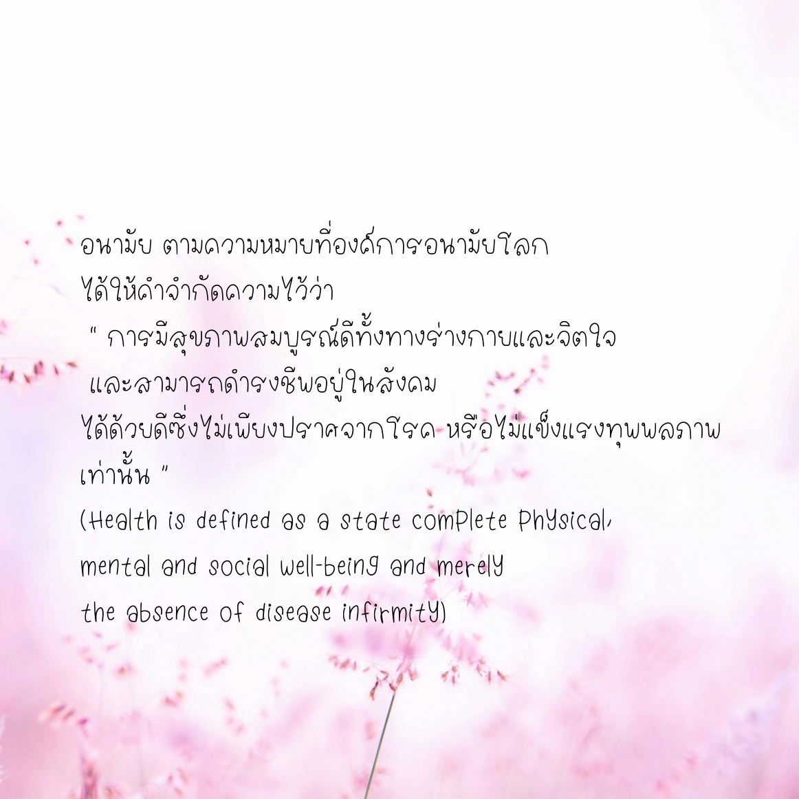 ฟอนต์นูร่าไอริส