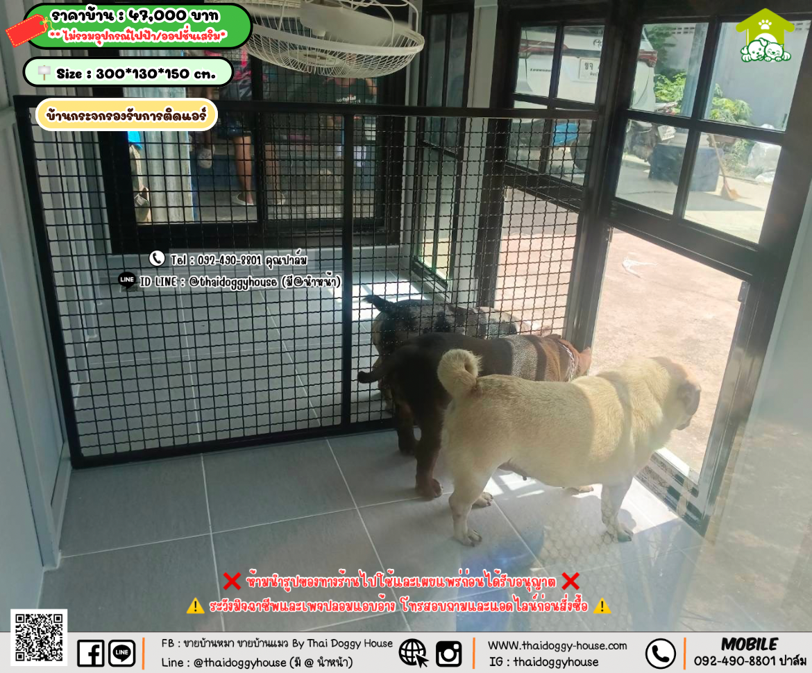 บ้านหมา บ้านแมว 𝐓𝐡𝐚𝐢 𝐝𝐨𝐠𝐠𝐲 𝐡𝐨𝐮𝐬𝗲