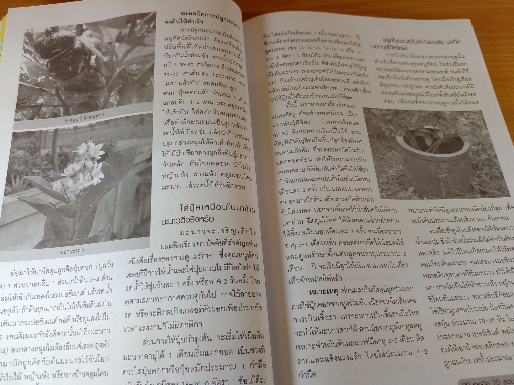 20 เทคนิค 20 สวนมะนาวเงินล้าน 5 ภาค