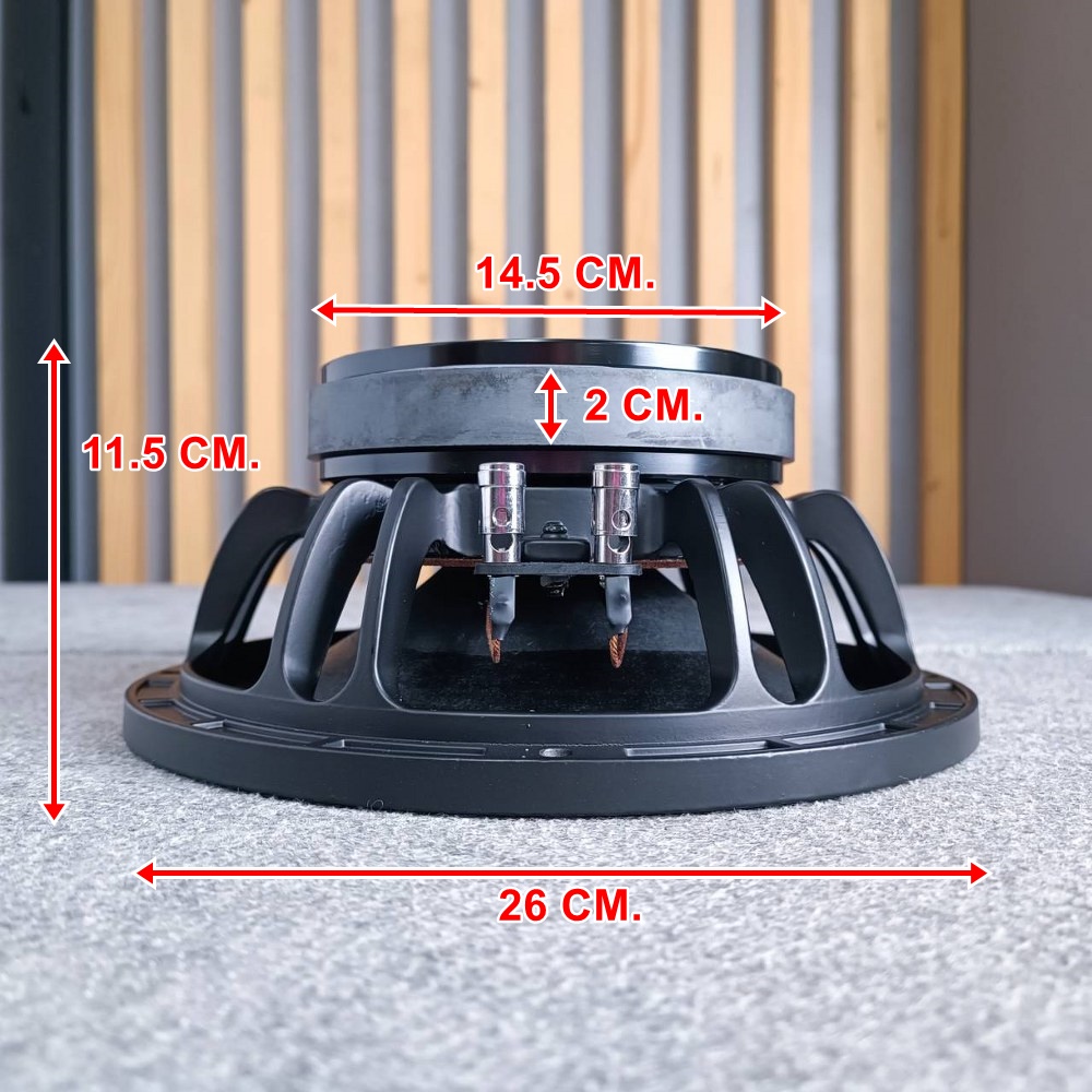 NPE PRO-10 ดอกลำโพง 10นิ้ว โครงหล่อ ลำโพง ขนาด 10 นิ้ว PRO 10 กำลังขับ 200 วัตต์ ที่ 8 โอห์ม PRO10 เอไอ-ไพศาล