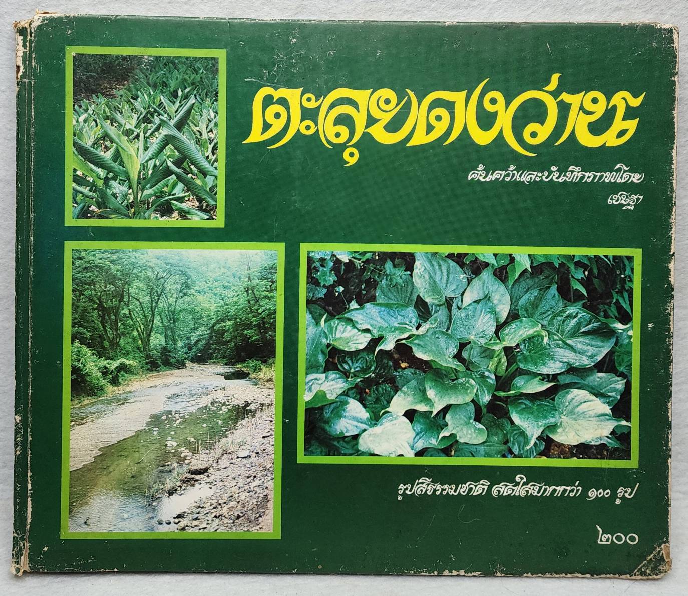ตะลุยดงว่าน SKU-10019