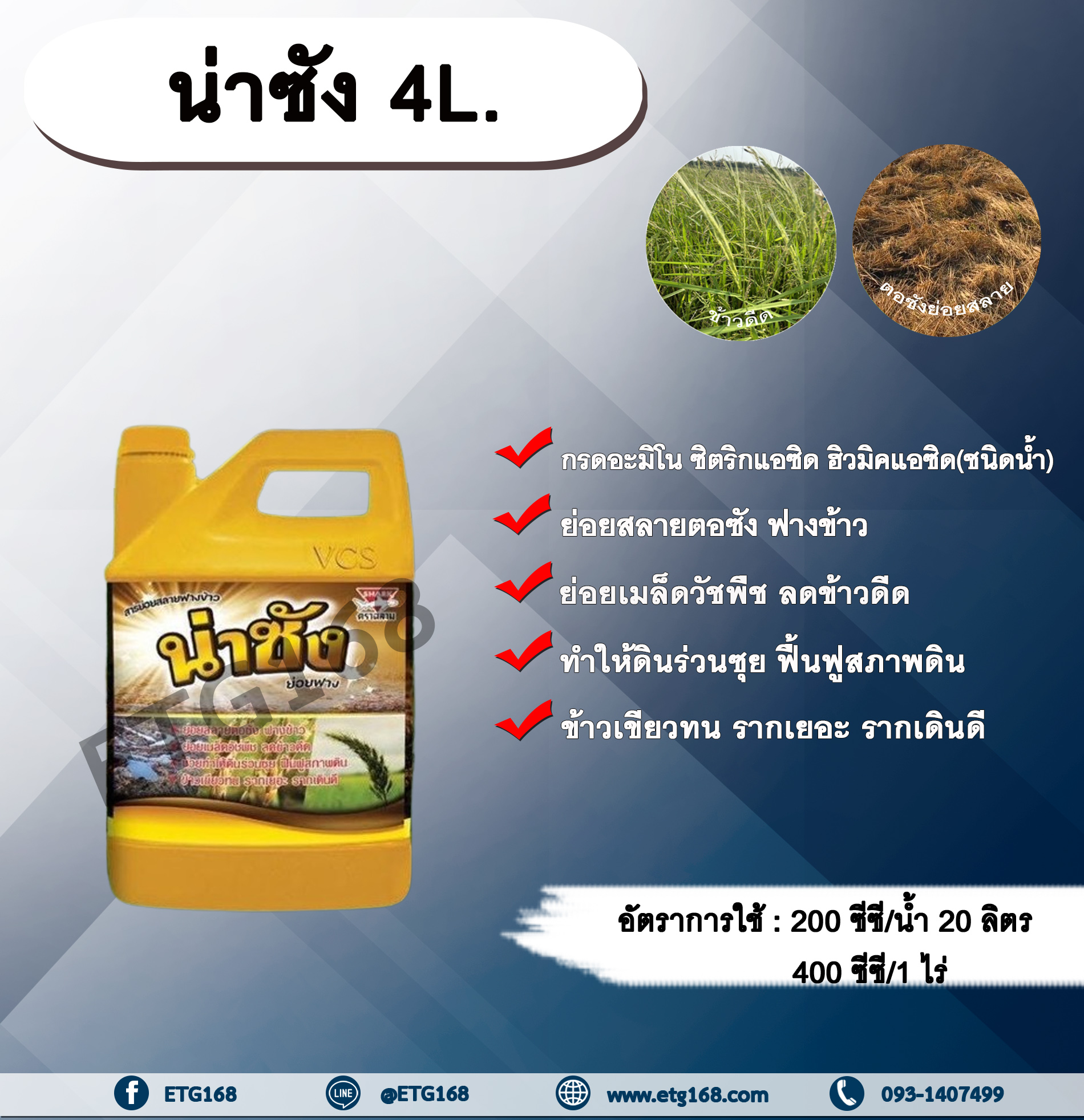 น่าชัง 4L. สารย่อยสลายฟางข้าว ย่อยสลายตอซังซังข้าว ย่อยเมล็ดวัชพืช ลดข้าวดีด ทำให้ดินร่วนซุย ฟื้นฟูสภาพดิน ข้าวเขียวทน