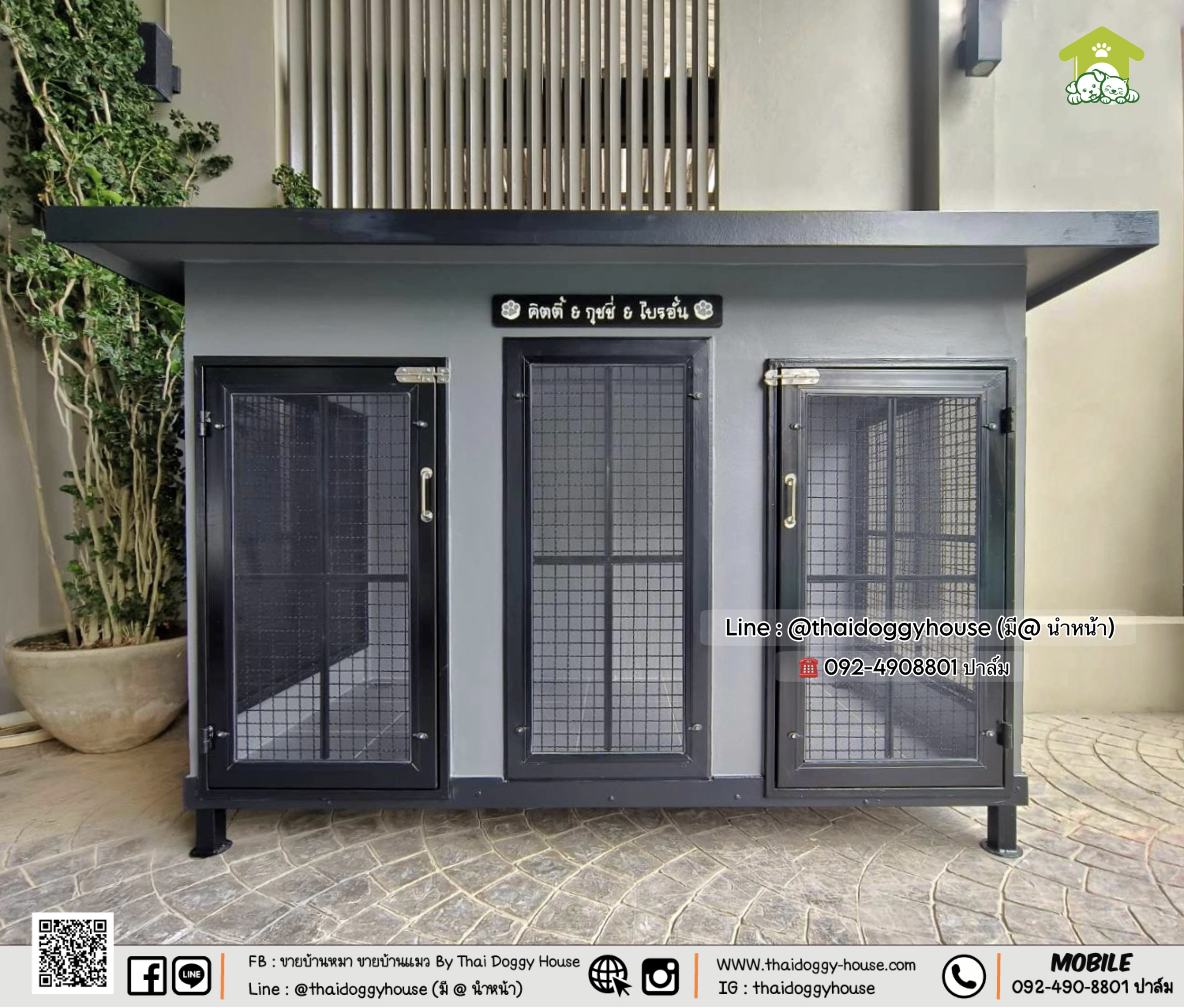 🏡 บ้านหมา บ้านแมว " 𝐁𝐎𝐗 𝐒𝐓𝐘𝐋𝐄 𝐁𝐘 𝐓𝐇𝐀𝐈 𝐃𝐎𝐆𝐆𝐘 𝐇𝐎𝐔𝐒𝐄